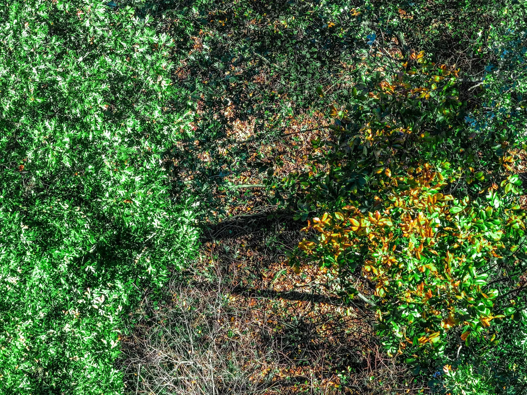 View of nature