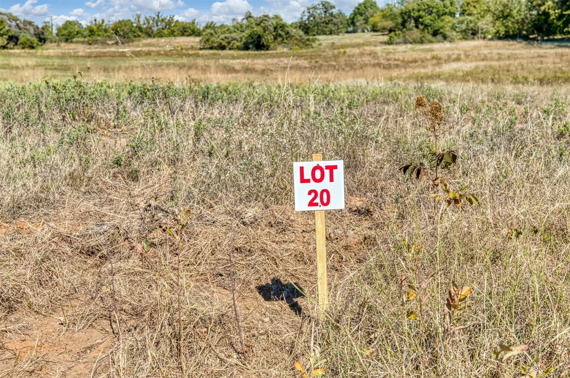 Unimproved Land For Sale in Jack County , TBD Wilson Road, Perrin, Texas 76486, 0, 0, Garage spaces, 0 Sqft, built in 0, mls#21100729, Real Estate Agent in Perrin, Homes For Sale in Jack county, Homes For Sale in Perrin, Realtor in Perrin Texas, Real Estate Brokerage Independent Realty Texas, Luminita Cordes Realtor