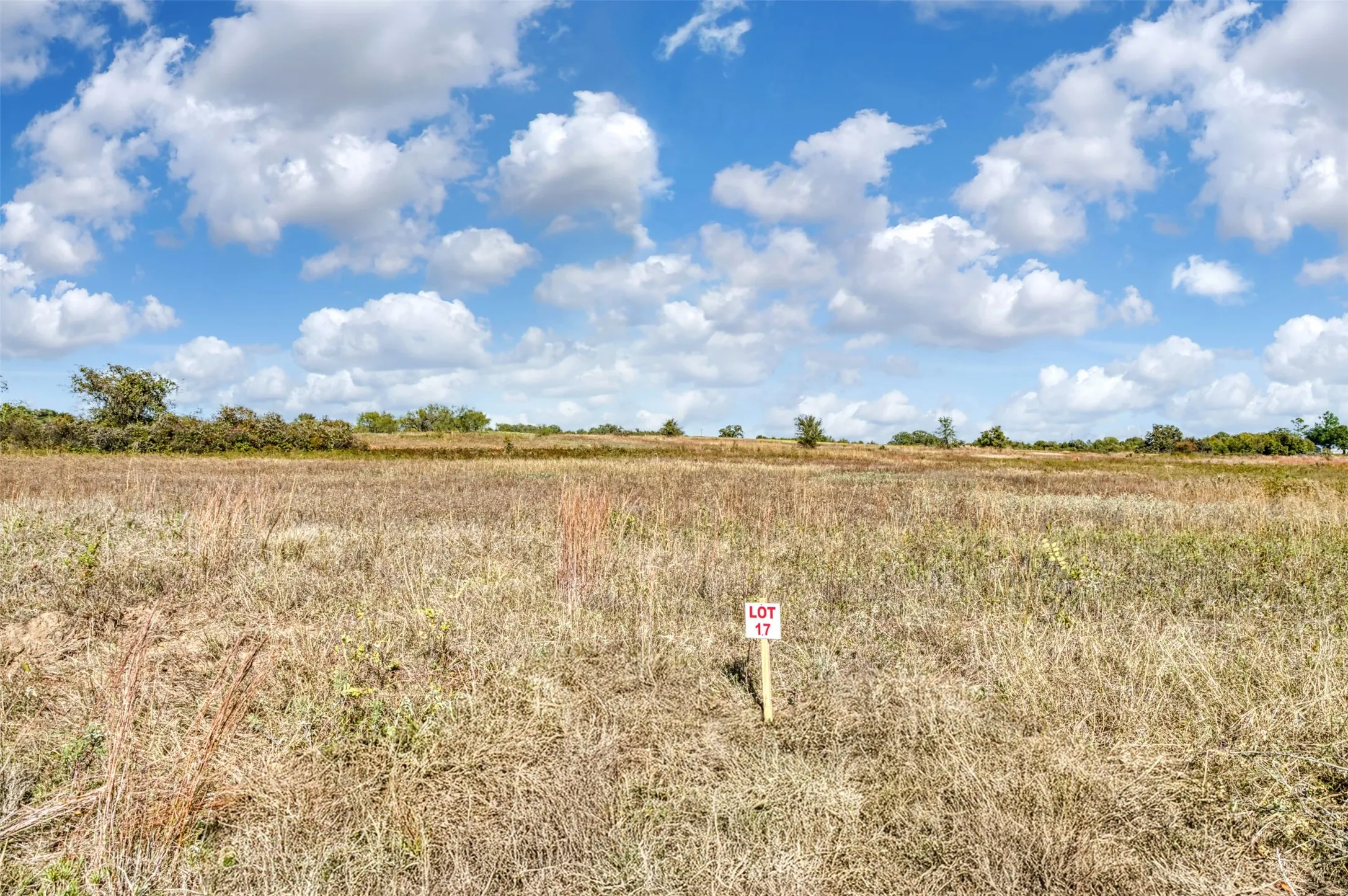 Unimproved Land For Sale in Jack County , TBD Wilson Road, Perrin, Texas 76486, 0, 0, Garage spaces, 0 Sqft, built in 0, mls#21100729, Real Estate Agent in Perrin, Homes For Sale in Jack county, Homes For Sale in Perrin, Realtor in Perrin Texas, Real Estate Brokerage Independent Realty Texas, Luminita Cordes Realtor
