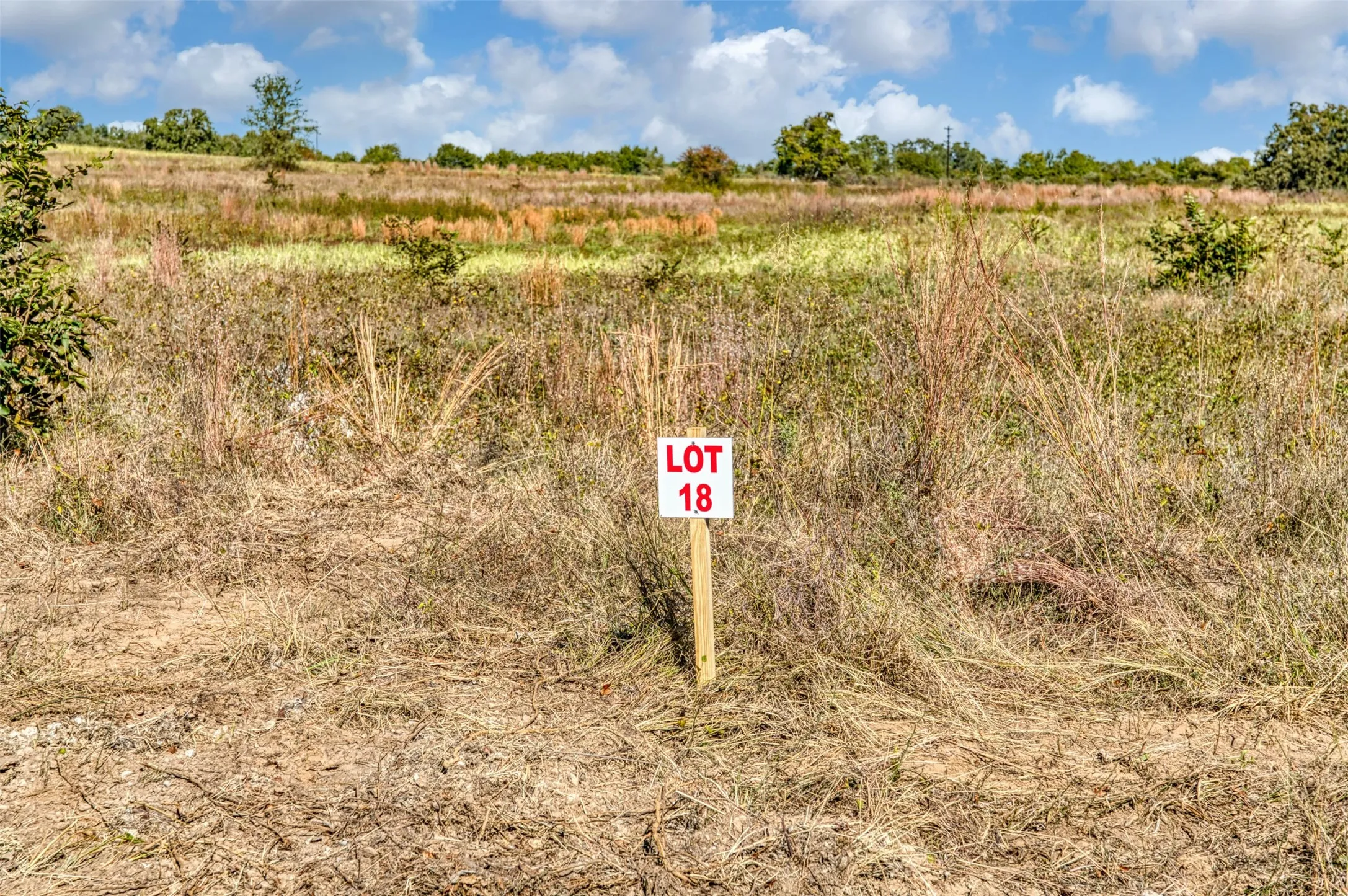 Unimproved Land For Sale in Jack County , TBD Wilson Road, Perrin, Texas 76486, 0, 0, Garage spaces, 0 Sqft, built in 0, mls#21100729, Real Estate Agent in Perrin, Homes For Sale in Jack county, Homes For Sale in Perrin, Realtor in Perrin Texas, Real Estate Brokerage Independent Realty Texas, Luminita Cordes Realtor