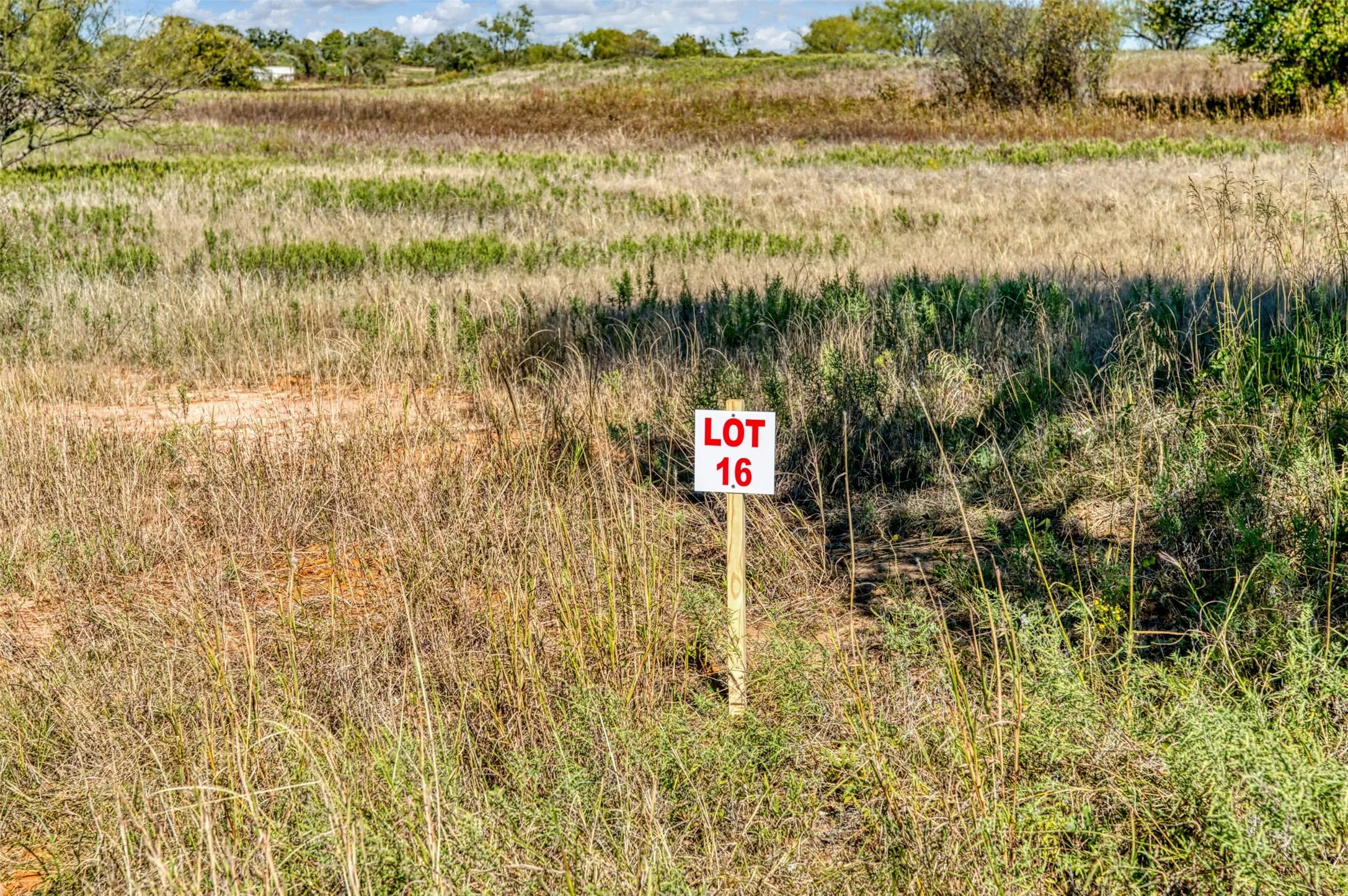 Unimproved Land For Sale in Jack County , TBD Wilson Road, Perrin, Texas 76486, 0, 0, Garage spaces, 0 Sqft, built in 0, mls#21100729, Real Estate Agent in Perrin, Homes For Sale in Jack county, Homes For Sale in Perrin, Realtor in Perrin Texas, Real Estate Brokerage Independent Realty Texas, Luminita Cordes Realtor