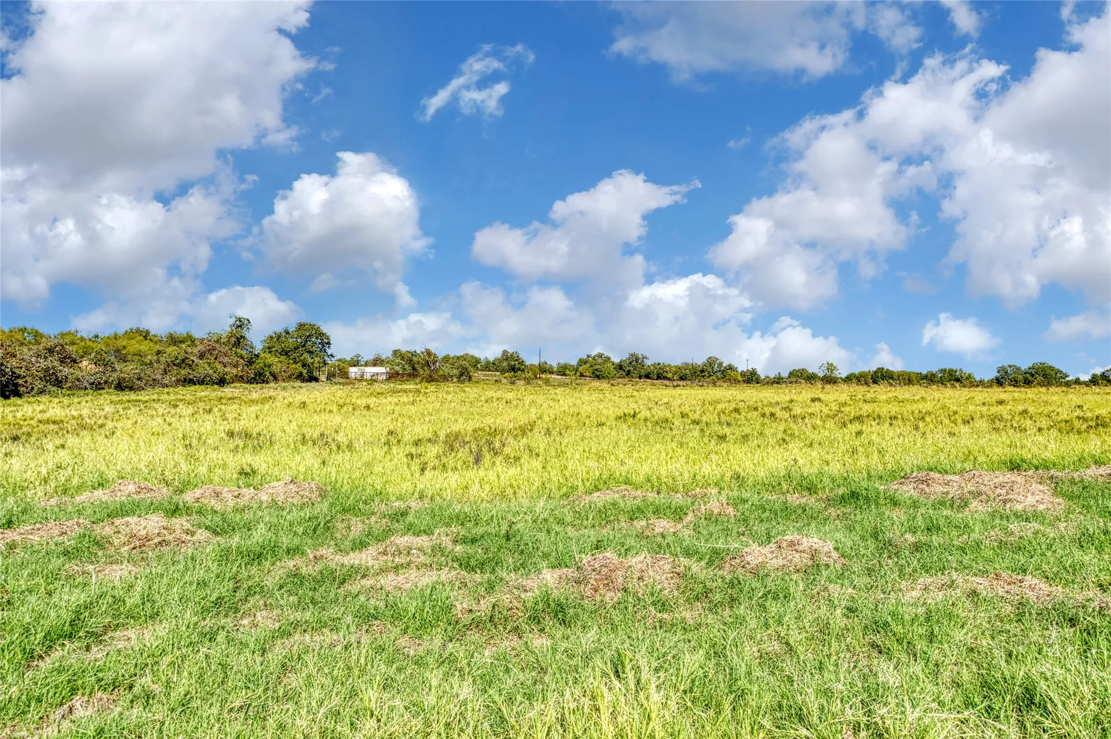 Unimproved Land For Sale in Jack County , TBD Wilson Road, Perrin, Texas 76486, 0, 0, Garage spaces, 0 Sqft, built in 0, mls#21100729, Real Estate Agent in Perrin, Homes For Sale in Jack county, Homes For Sale in Perrin, Realtor in Perrin Texas, Real Estate Brokerage Independent Realty Texas, Luminita Cordes Realtor