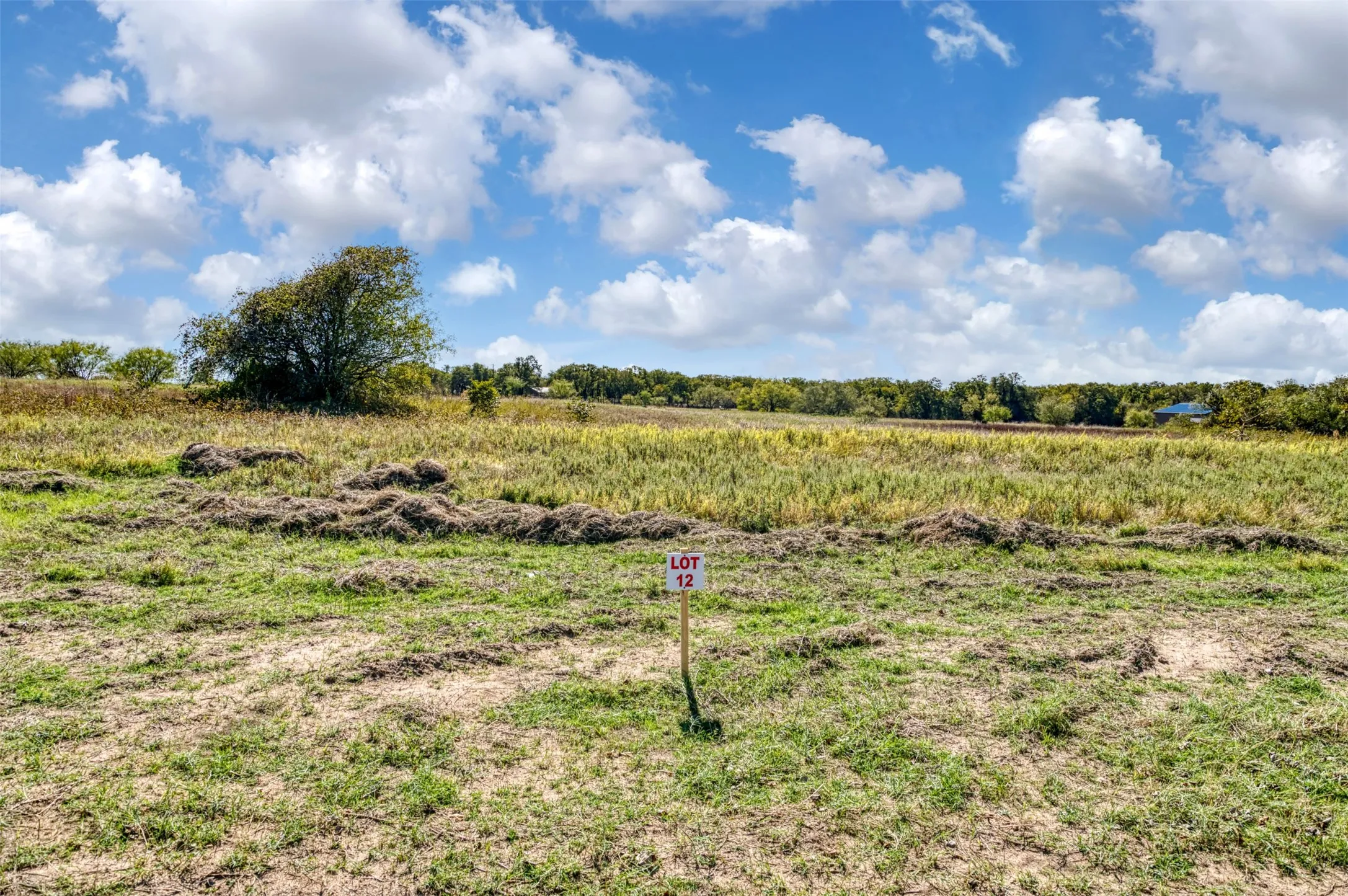 Unimproved Land For Sale in Jack County , TBD Wilson Road, Perrin, Texas 76486, 0, 0, Garage spaces, 0 Sqft, built in 0, mls#21100729, Real Estate Agent in Perrin, Homes For Sale in Jack county, Homes For Sale in Perrin, Realtor in Perrin Texas, Real Estate Brokerage Independent Realty Texas, Luminita Cordes Realtor