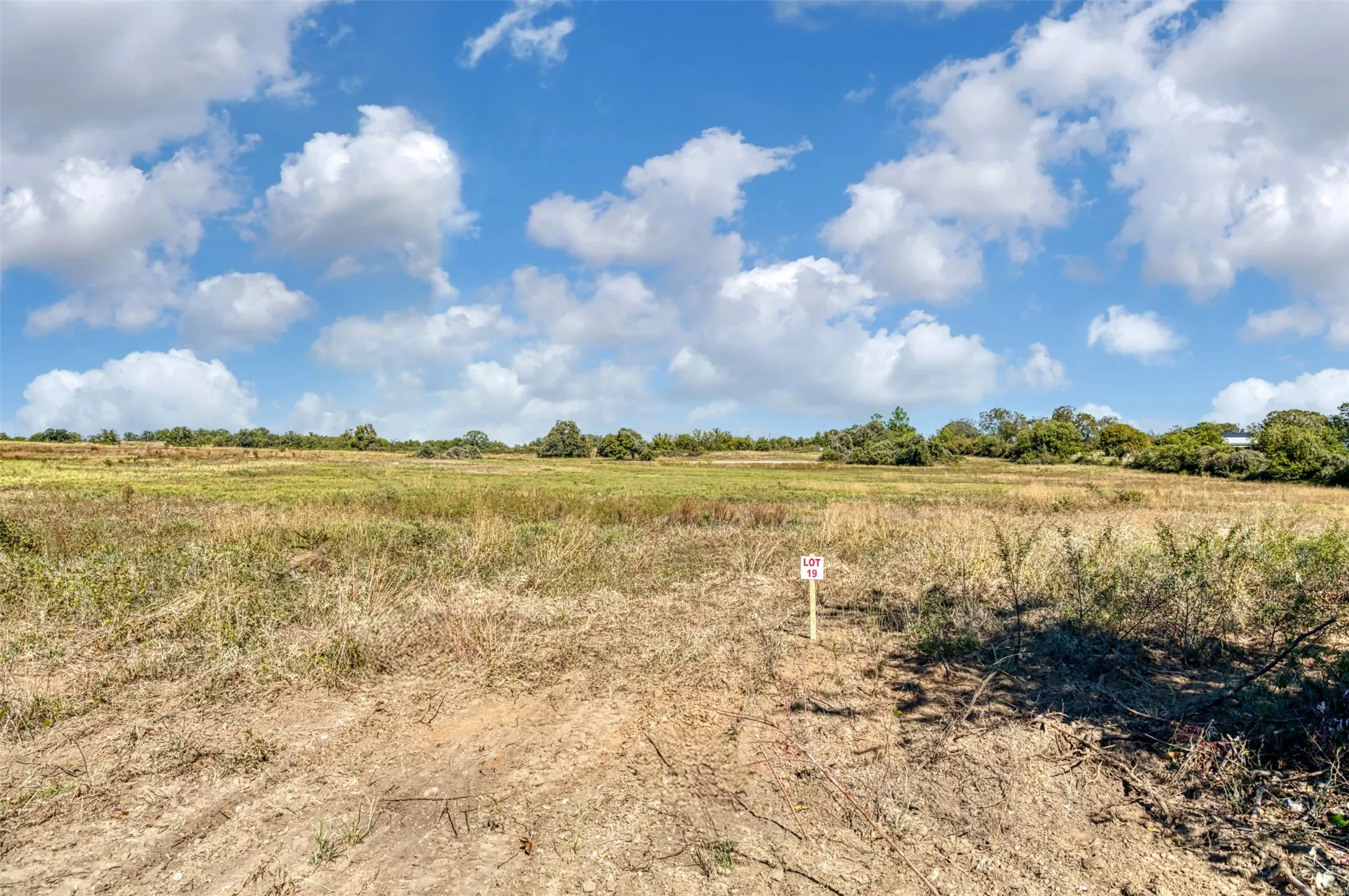 Unimproved Land For Sale in Jack County , TBD Wilson Road, Perrin, Texas 76486, 0, 0, Garage spaces, 0 Sqft, built in 0, mls#21100729, Real Estate Agent in Perrin, Homes For Sale in Jack county, Homes For Sale in Perrin, Realtor in Perrin Texas, Real Estate Brokerage Independent Realty Texas, Luminita Cordes Realtor