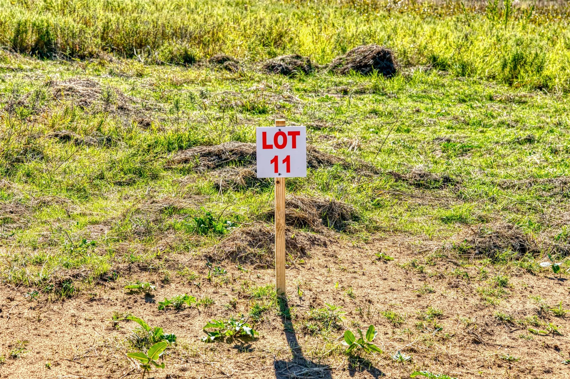 Unimproved Land For Sale in Jack County , TBD Wilson Road, Perrin, Texas 76486, 0, 0, Garage spaces, 0 Sqft, built in 0, mls#21100729, Real Estate Agent in Perrin, Homes For Sale in Jack county, Homes For Sale in Perrin, Realtor in Perrin Texas, Real Estate Brokerage Independent Realty Texas, Luminita Cordes Realtor
