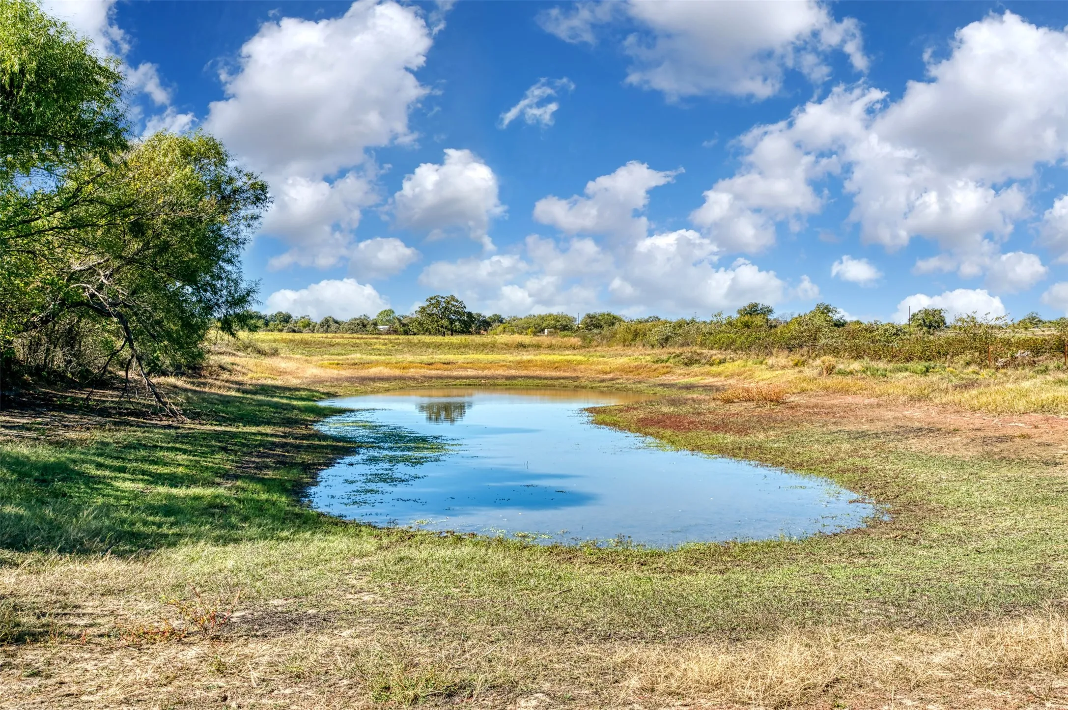 Unimproved Land For Sale in Jack County , TBD Wilson Road, Perrin, Texas 76486, 0, 0, Garage spaces, 0 Sqft, built in 0, mls#21100729, Real Estate Agent in Perrin, Homes For Sale in Jack county, Homes For Sale in Perrin, Realtor in Perrin Texas, Real Estate Brokerage Independent Realty Texas, Luminita Cordes Realtor