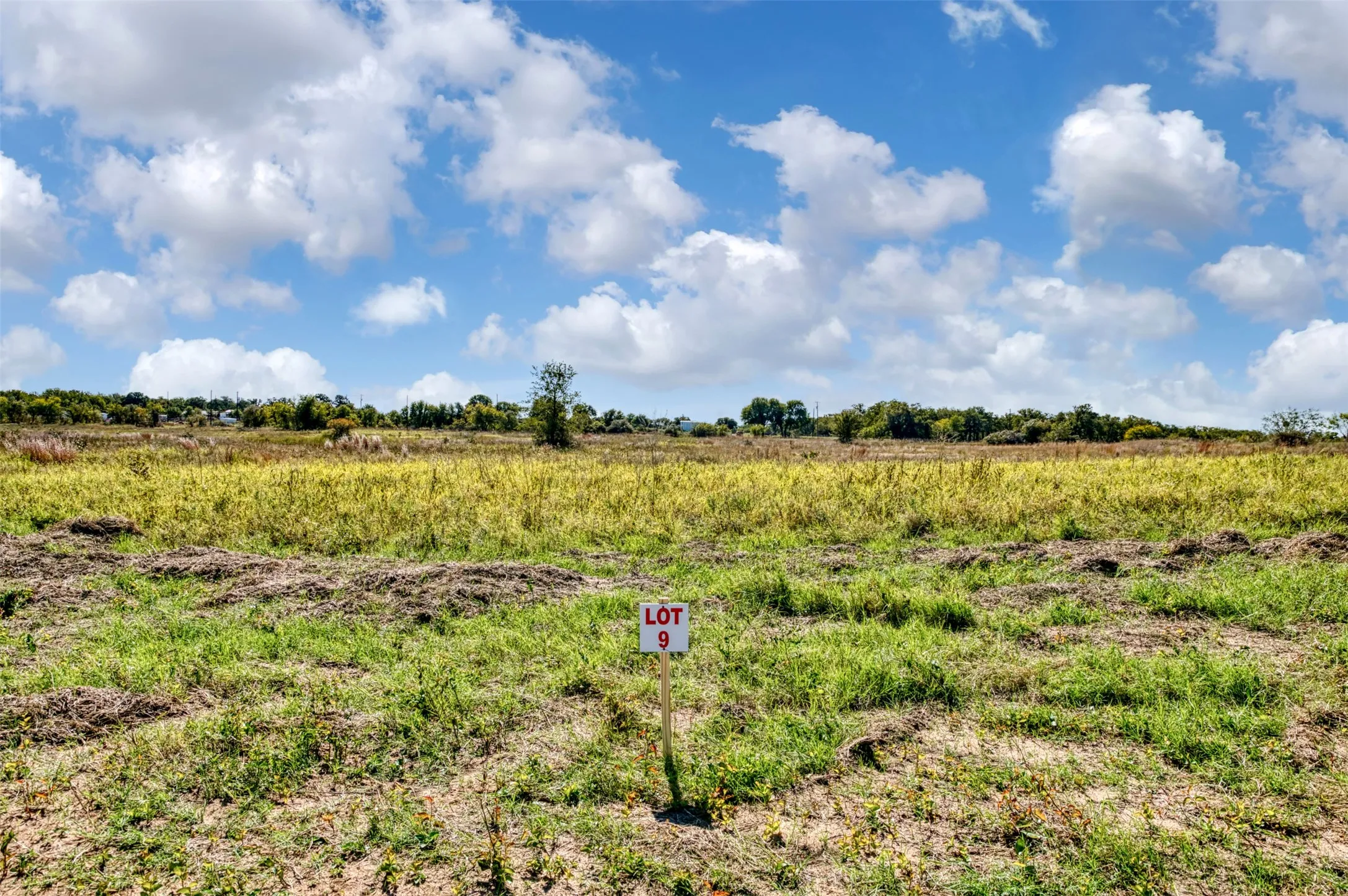 Unimproved Land For Sale in Jack County , TBD Wilson Road, Perrin, Texas 76486, 0, 0, Garage spaces, 0 Sqft, built in 0, mls#21100729, Real Estate Agent in Perrin, Homes For Sale in Jack county, Homes For Sale in Perrin, Realtor in Perrin Texas, Real Estate Brokerage Independent Realty Texas, Luminita Cordes Realtor