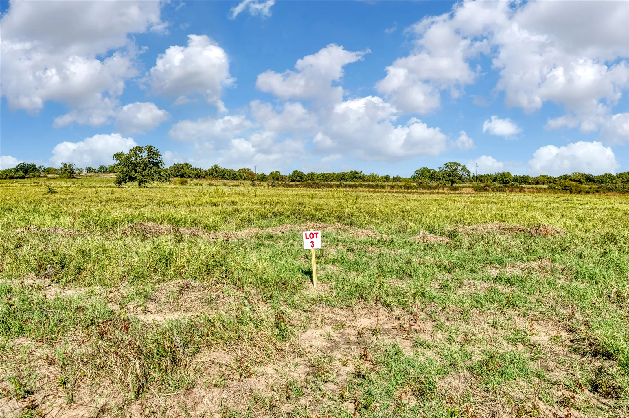 Unimproved Land For Sale in Jack County , TBD Wilson Road, Perrin, Texas 76486, 0, 0, Garage spaces, 0 Sqft, built in 0, mls#21100729, Real Estate Agent in Perrin, Homes For Sale in Jack county, Homes For Sale in Perrin, Realtor in Perrin Texas, Real Estate Brokerage Independent Realty Texas, Luminita Cordes Realtor