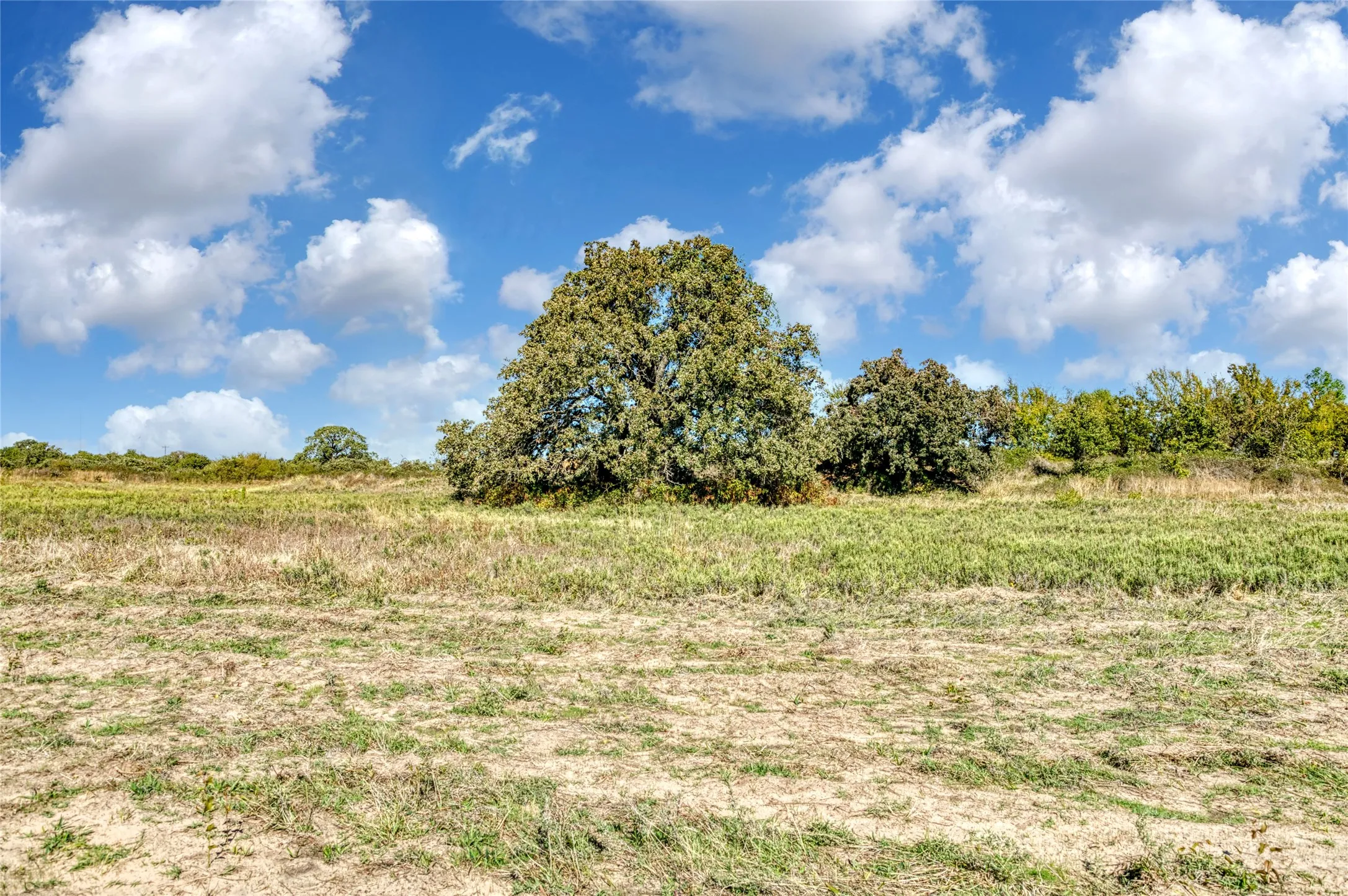 Unimproved Land For Sale in Jack County , TBD Wilson Road, Perrin, Texas 76486, 0, 0, Garage spaces, 0 Sqft, built in 0, mls#21100729, Real Estate Agent in Perrin, Homes For Sale in Jack county, Homes For Sale in Perrin, Realtor in Perrin Texas, Real Estate Brokerage Independent Realty Texas, Luminita Cordes Realtor