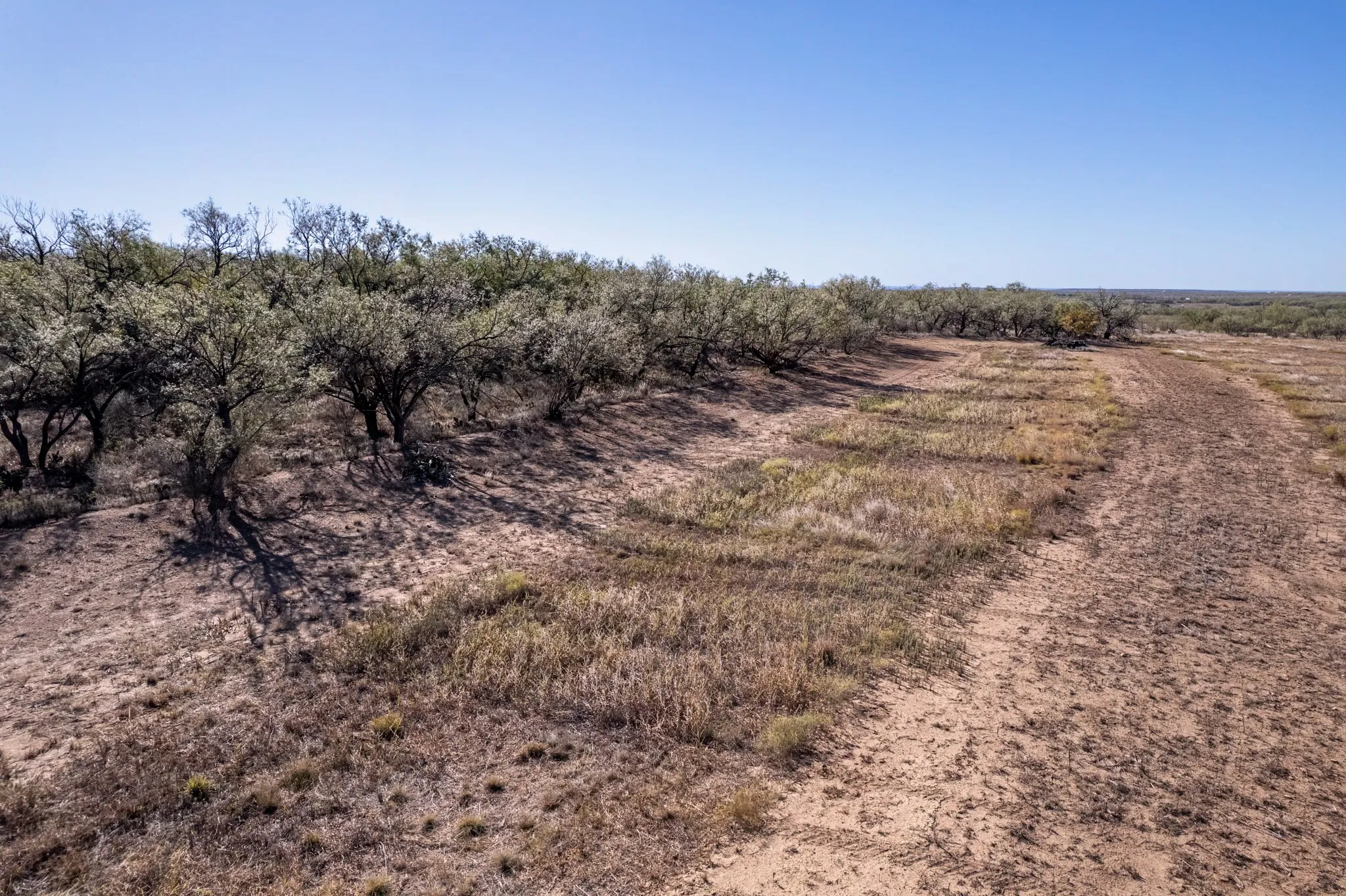 Ranch For Sale in Coleman County , 837 County Road 346, Coleman, Texas 76834, 0, 0, Garage spaces, 0 Sqft, built in 0, mls#21102971, Real Estate Agent in Coleman, Homes For Sale in Coleman county, Homes For Sale in Coleman, Realtor in Coleman Texas, Real Estate Brokerage Independent Realty Texas, Luminita Cordes Realtor