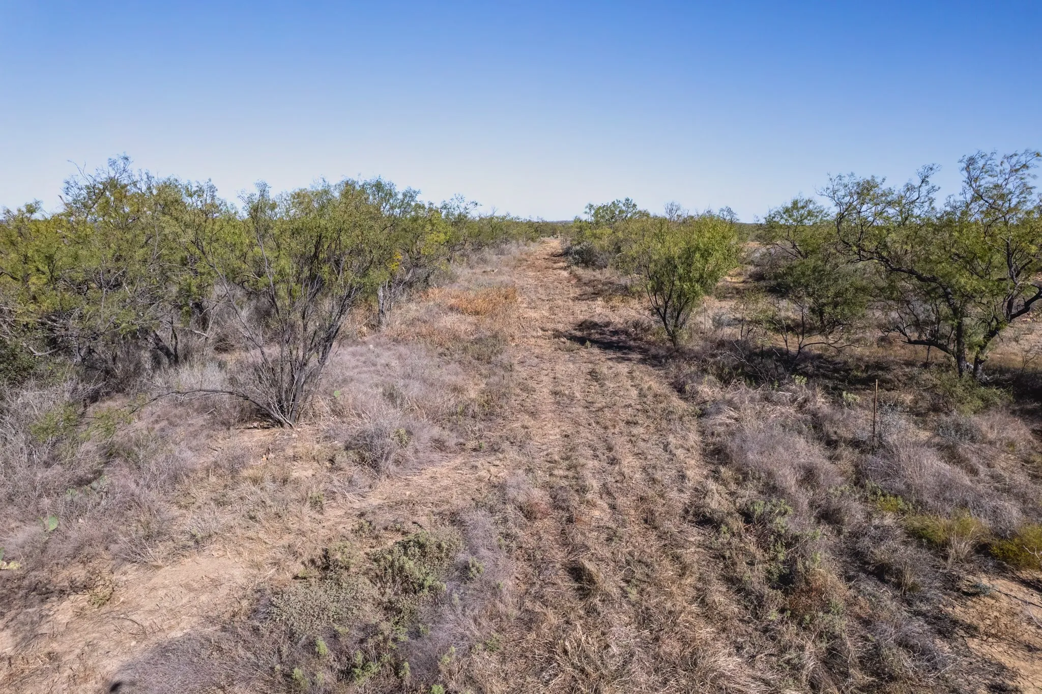 Ranch For Sale in Coleman County , 837 County Road 346, Coleman, Texas 76834, 0, 0, Garage spaces, 0 Sqft, built in 0, mls#21102971, Real Estate Agent in Coleman, Homes For Sale in Coleman county, Homes For Sale in Coleman, Realtor in Coleman Texas, Real Estate Brokerage Independent Realty Texas, Luminita Cordes Realtor