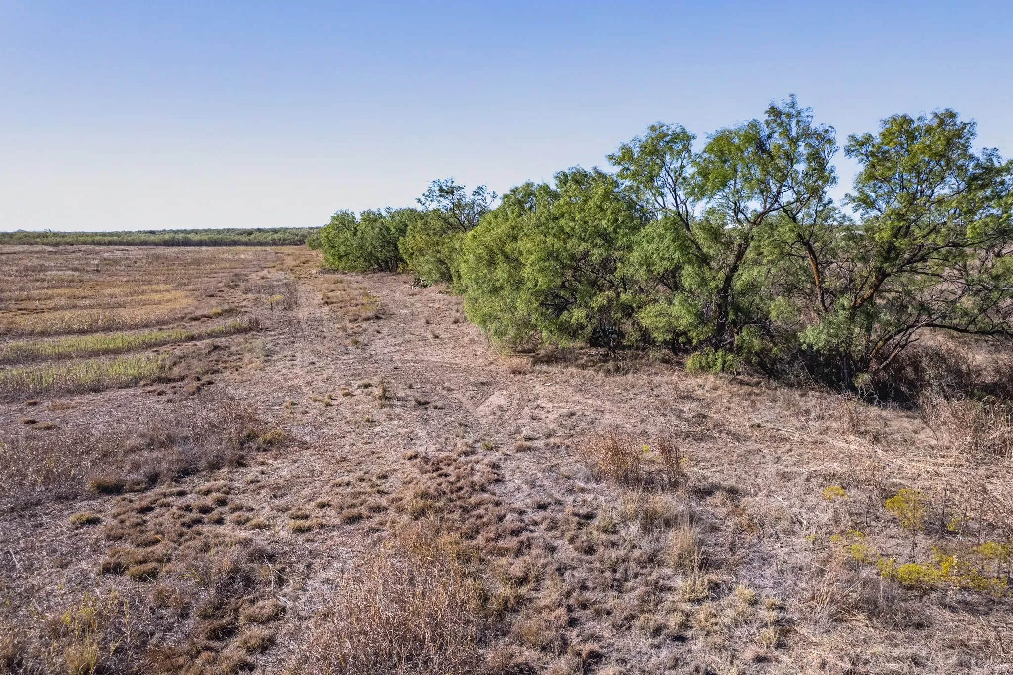 Ranch For Sale in Coleman County , 837 County Road 346, Coleman, Texas 76834, 0, 0, Garage spaces, 0 Sqft, built in 0, mls#21102971, Real Estate Agent in Coleman, Homes For Sale in Coleman county, Homes For Sale in Coleman, Realtor in Coleman Texas, Real Estate Brokerage Independent Realty Texas, Luminita Cordes Realtor