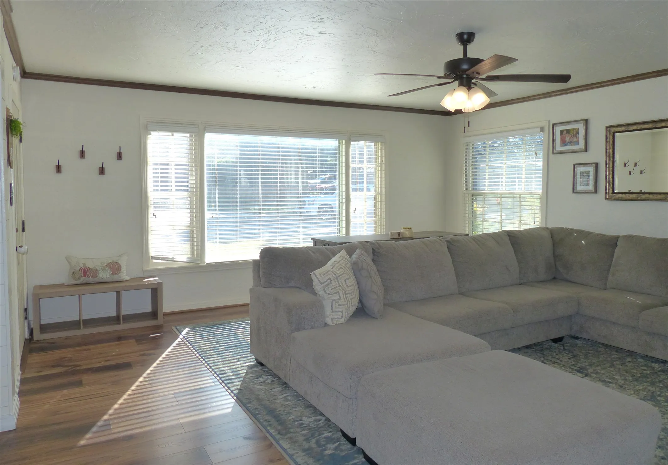 Living area featuring dark wood-style floors, crown molding, a textured ceiling, and ceiling fan