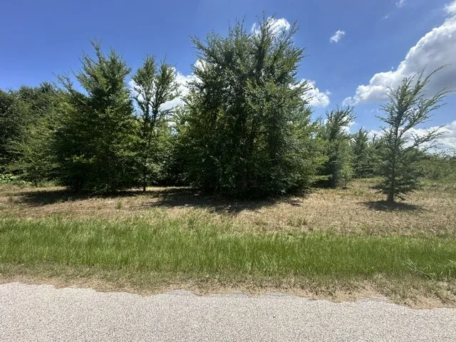 Unimproved Land For Sale in Henderson County , 527 Tahiti Lane, Tool, Texas 75143, 0, 0, Garage spaces, 0 Sqft, built in 0, mls#21091619, Real Estate Agent in Tool, Homes For Sale in Henderson county, Homes For Sale in Tool, Realtor in Tool Texas, Real Estate Brokerage Independent Realty Texas, Luminita Cordes Realtor