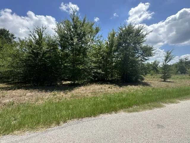 Unimproved Land For Sale in Henderson County , 527 Tahiti Lane, Tool, Texas 75143, 0, 0, Garage spaces, 0 Sqft, built in 0, mls#21091619, Real Estate Agent in Tool, Homes For Sale in Henderson county, Homes For Sale in Tool, Realtor in Tool Texas, Real Estate Brokerage Independent Realty Texas, Luminita Cordes Realtor