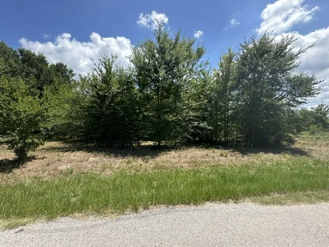 Unimproved Land For Sale in Henderson County , 527 Tahiti Lane, Tool, Texas 75143, 0, 0, Garage spaces, 0 Sqft, built in 0, mls#21091619, Real Estate Agent in Tool, Homes For Sale in Henderson county, Homes For Sale in Tool, Realtor in Tool Texas, Real Estate Brokerage Independent Realty Texas, Luminita Cordes Realtor