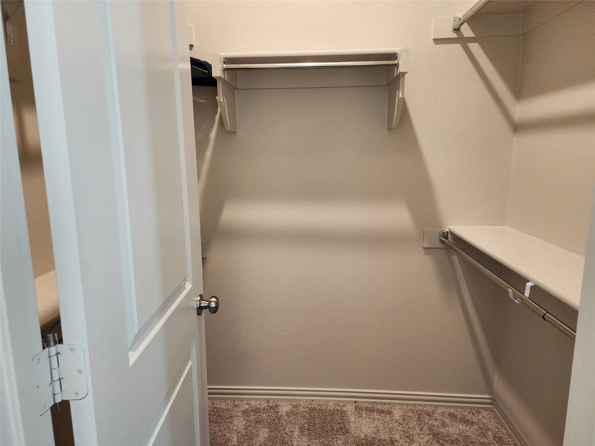 Walk in closet featuring carpet