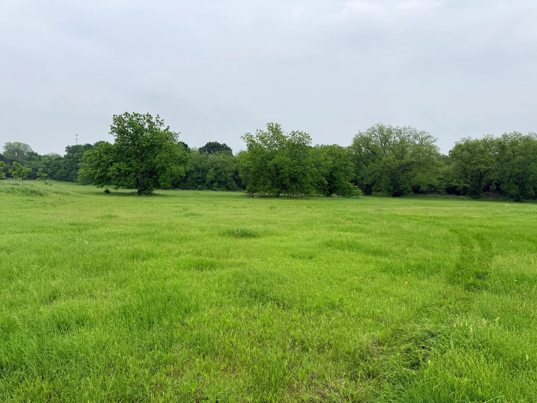 Unimproved Land For Sale in Hill County , 20 Acres Gathings Avenue, Covington, Texas 76636, 0, 0, Garage spaces, 0 Sqft, built in 0, mls#21103993, Real Estate Agent in Covington, Homes For Sale in Hill county, Homes For Sale in Covington, Realtor in Covington Texas, Real Estate Brokerage Independent Realty Texas, Luminita Cordes Realtor
