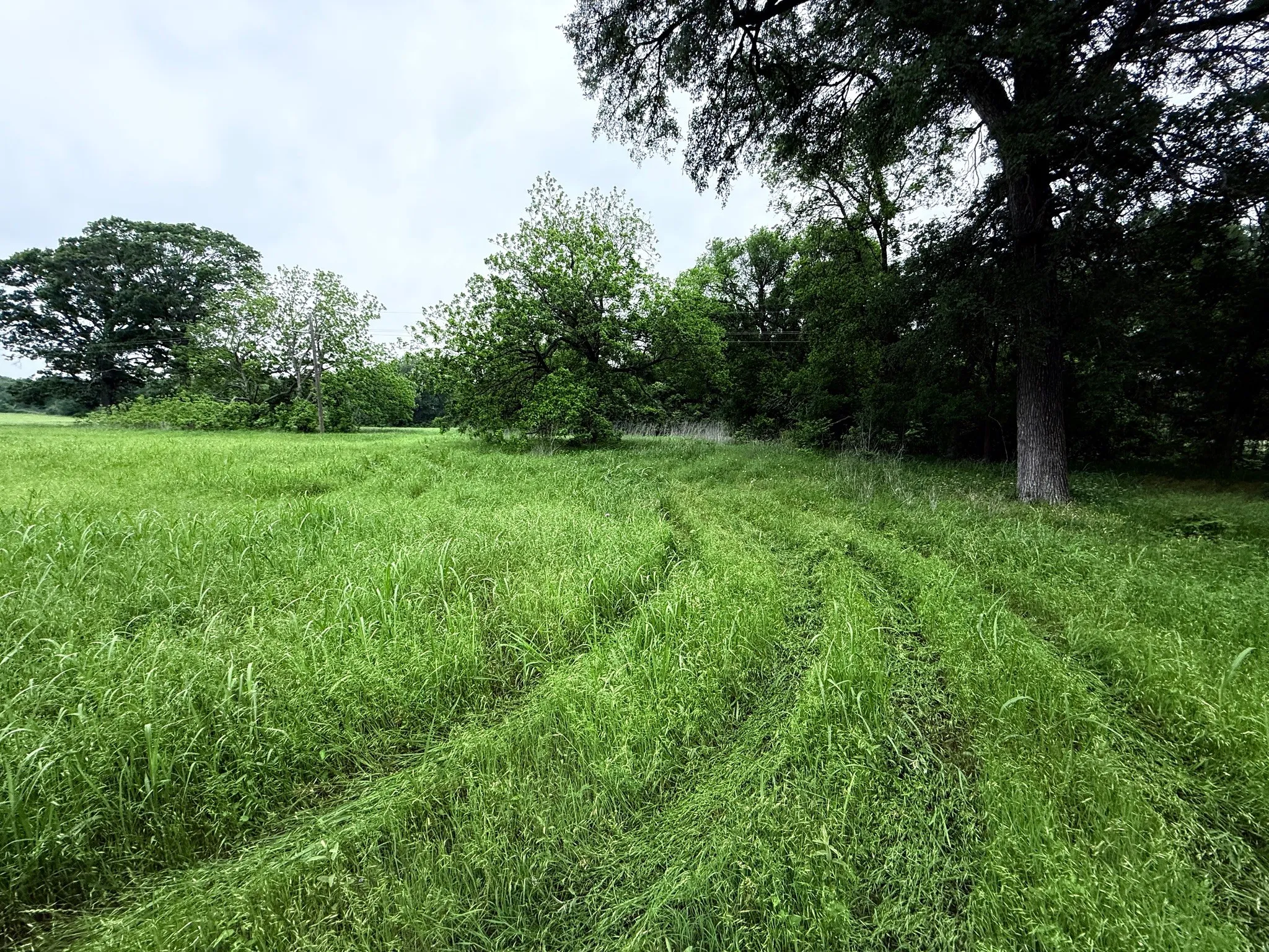 Unimproved Land For Sale in Hill County , 20 Acres Gathings Avenue, Covington, Texas 76636, 0, 0, Garage spaces, 0 Sqft, built in 0, mls#21103993, Real Estate Agent in Covington, Homes For Sale in Hill county, Homes For Sale in Covington, Realtor in Covington Texas, Real Estate Brokerage Independent Realty Texas, Luminita Cordes Realtor