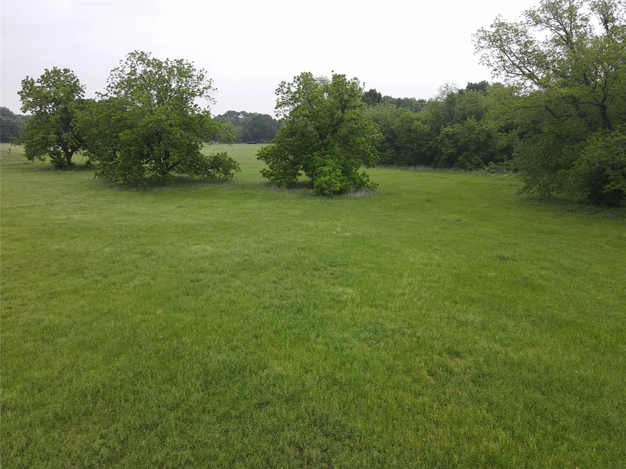 Unimproved Land For Sale in Hill County , 20 Acres Gathings Avenue, Covington, Texas 76636, 0, 0, Garage spaces, 0 Sqft, built in 0, mls#21103993, Real Estate Agent in Covington, Homes For Sale in Hill county, Homes For Sale in Covington, Realtor in Covington Texas, Real Estate Brokerage Independent Realty Texas, Luminita Cordes Realtor