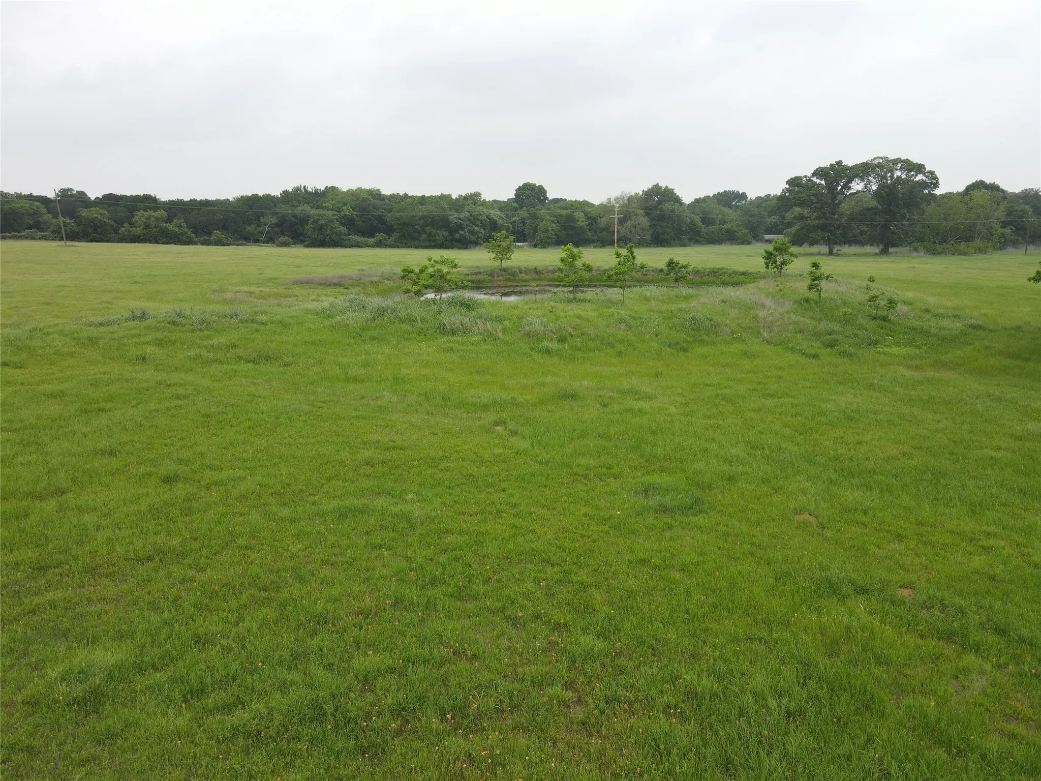Unimproved Land For Sale in Hill County , 20 Acres Gathings Avenue, Covington, Texas 76636, 0, 0, Garage spaces, 0 Sqft, built in 0, mls#21103993, Real Estate Agent in Covington, Homes For Sale in Hill county, Homes For Sale in Covington, Realtor in Covington Texas, Real Estate Brokerage Independent Realty Texas, Luminita Cordes Realtor