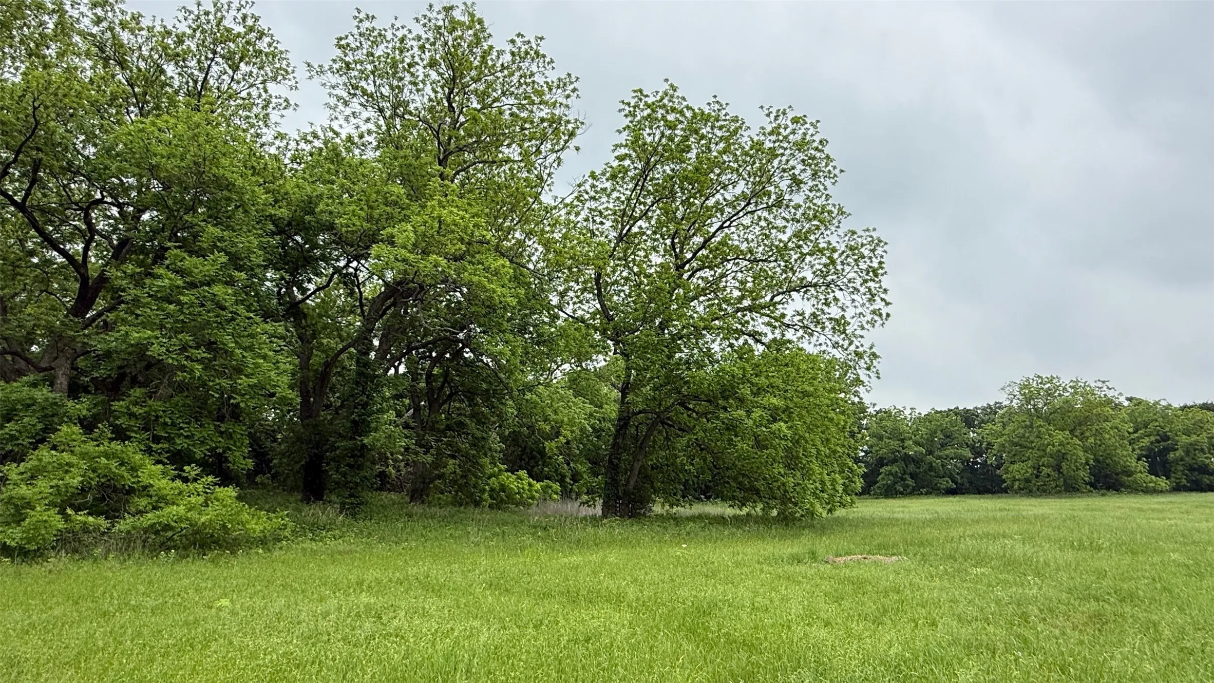 Unimproved Land For Sale in Hill County , 20 Acres Gathings Avenue, Covington, Texas 76636, 0, 0, Garage spaces, 0 Sqft, built in 0, mls#21103993, Real Estate Agent in Covington, Homes For Sale in Hill county, Homes For Sale in Covington, Realtor in Covington Texas, Real Estate Brokerage Independent Realty Texas, Luminita Cordes Realtor