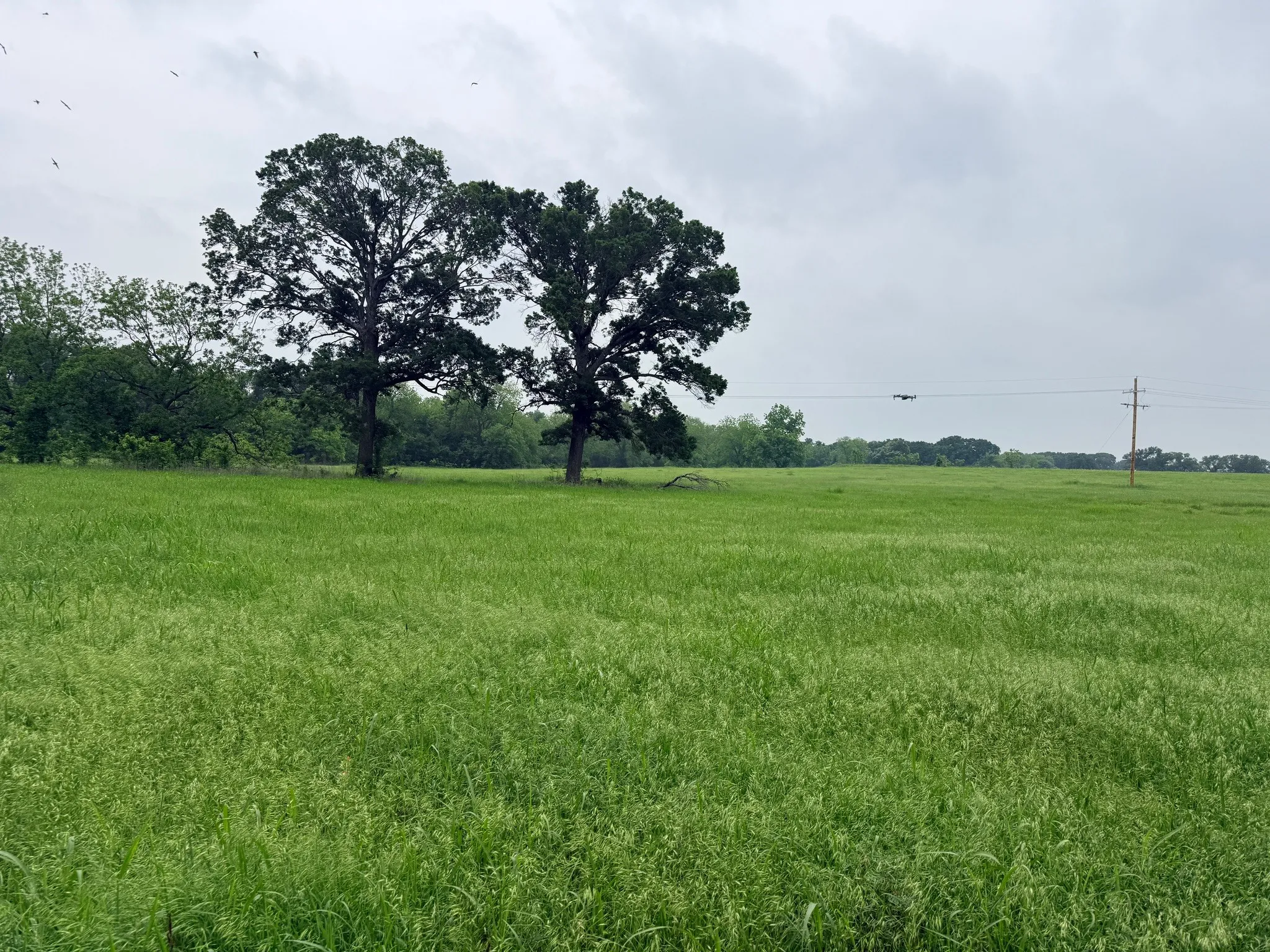 Unimproved Land For Sale in Hill County , 20 Acres Gathings Avenue, Covington, Texas 76636, 0, 0, Garage spaces, 0 Sqft, built in 0, mls#21103993, Real Estate Agent in Covington, Homes For Sale in Hill county, Homes For Sale in Covington, Realtor in Covington Texas, Real Estate Brokerage Independent Realty Texas, Luminita Cordes Realtor