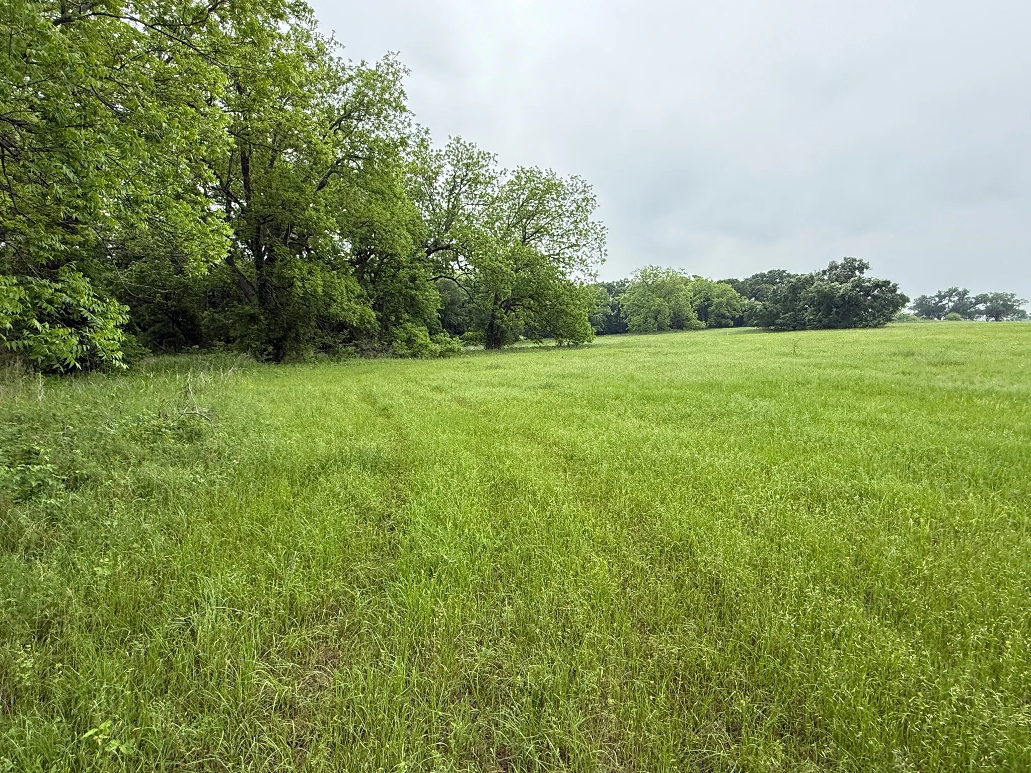 Unimproved Land For Sale in Hill County , 20 Acres Gathings Avenue, Covington, Texas 76636, 0, 0, Garage spaces, 0 Sqft, built in 0, mls#21103993, Real Estate Agent in Covington, Homes For Sale in Hill county, Homes For Sale in Covington, Realtor in Covington Texas, Real Estate Brokerage Independent Realty Texas, Luminita Cordes Realtor