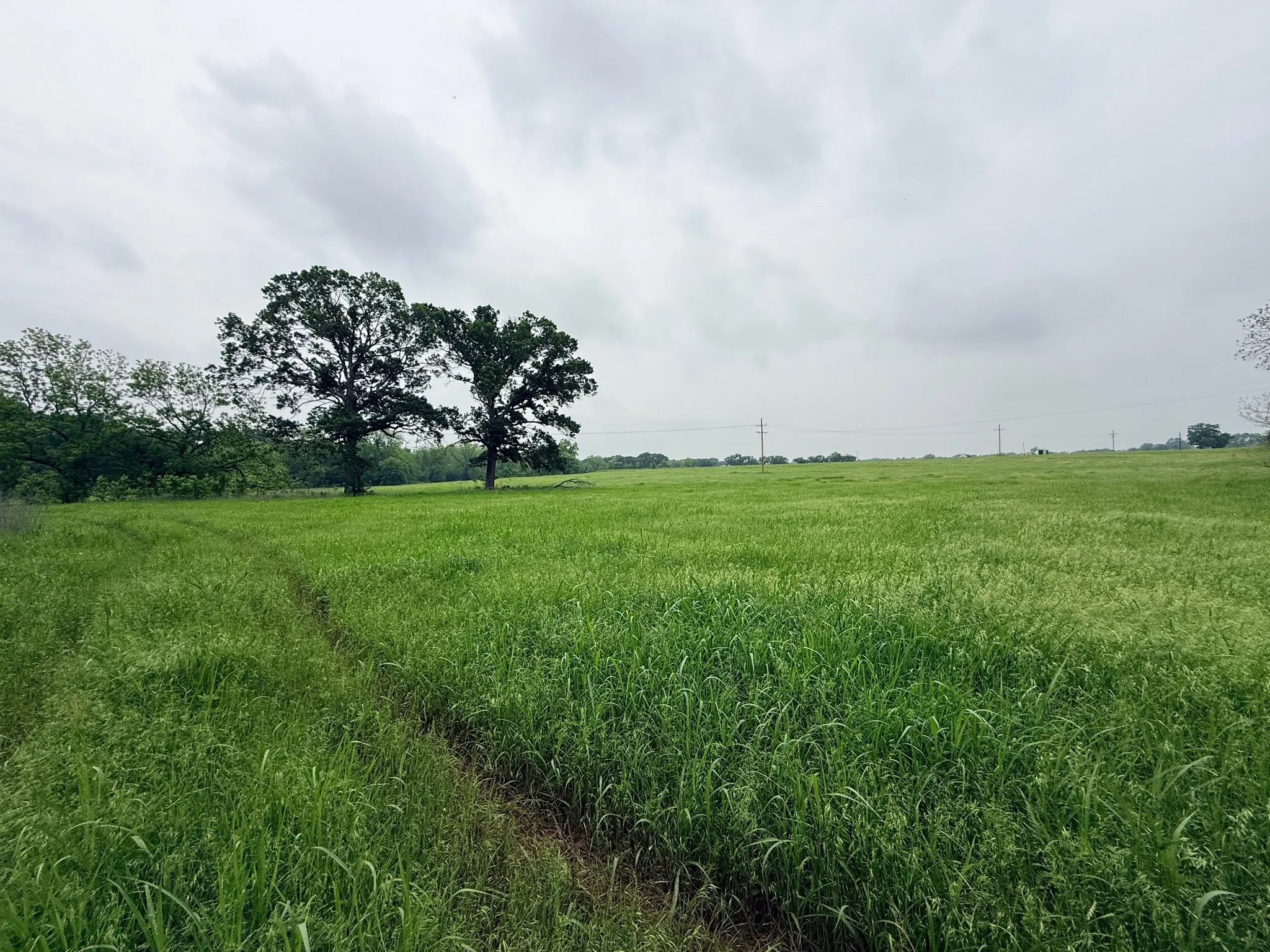 Unimproved Land For Sale in Hill County , 20 Acres Gathings Avenue, Covington, Texas 76636, 0, 0, Garage spaces, 0 Sqft, built in 0, mls#21103993, Real Estate Agent in Covington, Homes For Sale in Hill county, Homes For Sale in Covington, Realtor in Covington Texas, Real Estate Brokerage Independent Realty Texas, Luminita Cordes Realtor