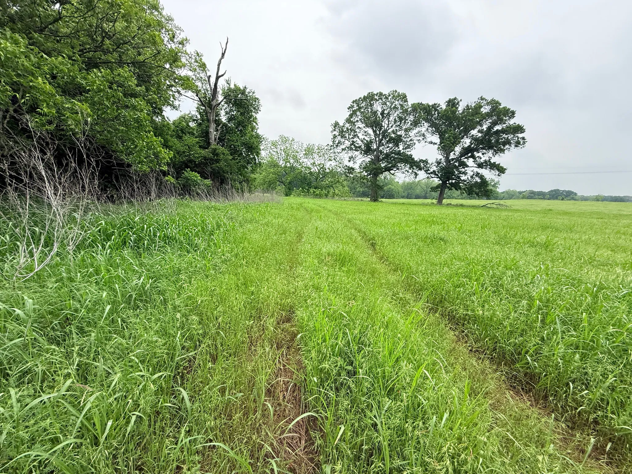Unimproved Land For Sale in Hill County , 20 Acres Gathings Avenue, Covington, Texas 76636, 0, 0, Garage spaces, 0 Sqft, built in 0, mls#21103993, Real Estate Agent in Covington, Homes For Sale in Hill county, Homes For Sale in Covington, Realtor in Covington Texas, Real Estate Brokerage Independent Realty Texas, Luminita Cordes Realtor