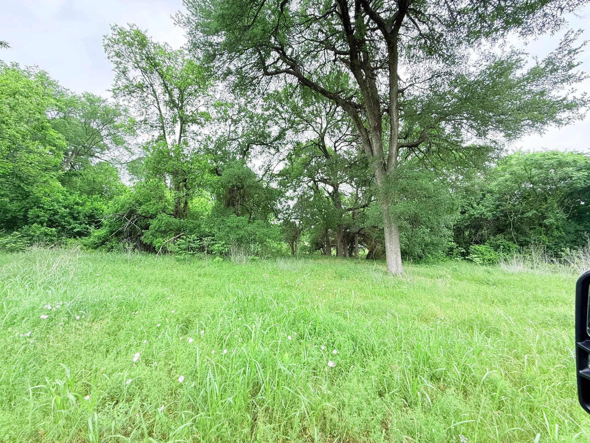Unimproved Land For Sale in Hill County , 20 Acres Gathings Avenue, Covington, Texas 76636, 0, 0, Garage spaces, 0 Sqft, built in 0, mls#21103993, Real Estate Agent in Covington, Homes For Sale in Hill county, Homes For Sale in Covington, Realtor in Covington Texas, Real Estate Brokerage Independent Realty Texas, Luminita Cordes Realtor