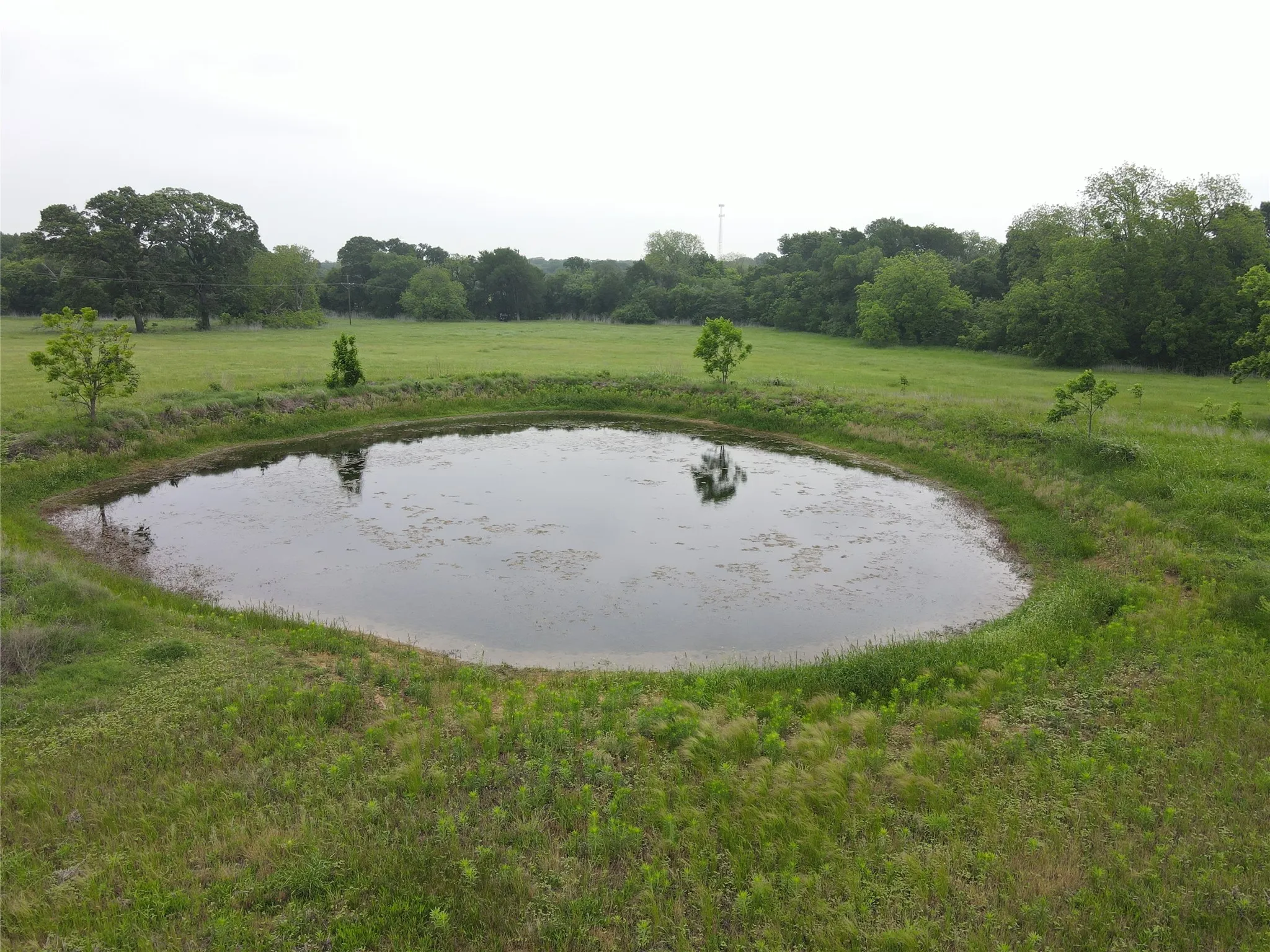 Unimproved Land For Sale in Hill County , 20 Acres Gathings Avenue, Covington, Texas 76636, 0, 0, Garage spaces, 0 Sqft, built in 0, mls#21103993, Real Estate Agent in Covington, Homes For Sale in Hill county, Homes For Sale in Covington, Realtor in Covington Texas, Real Estate Brokerage Independent Realty Texas, Luminita Cordes Realtor