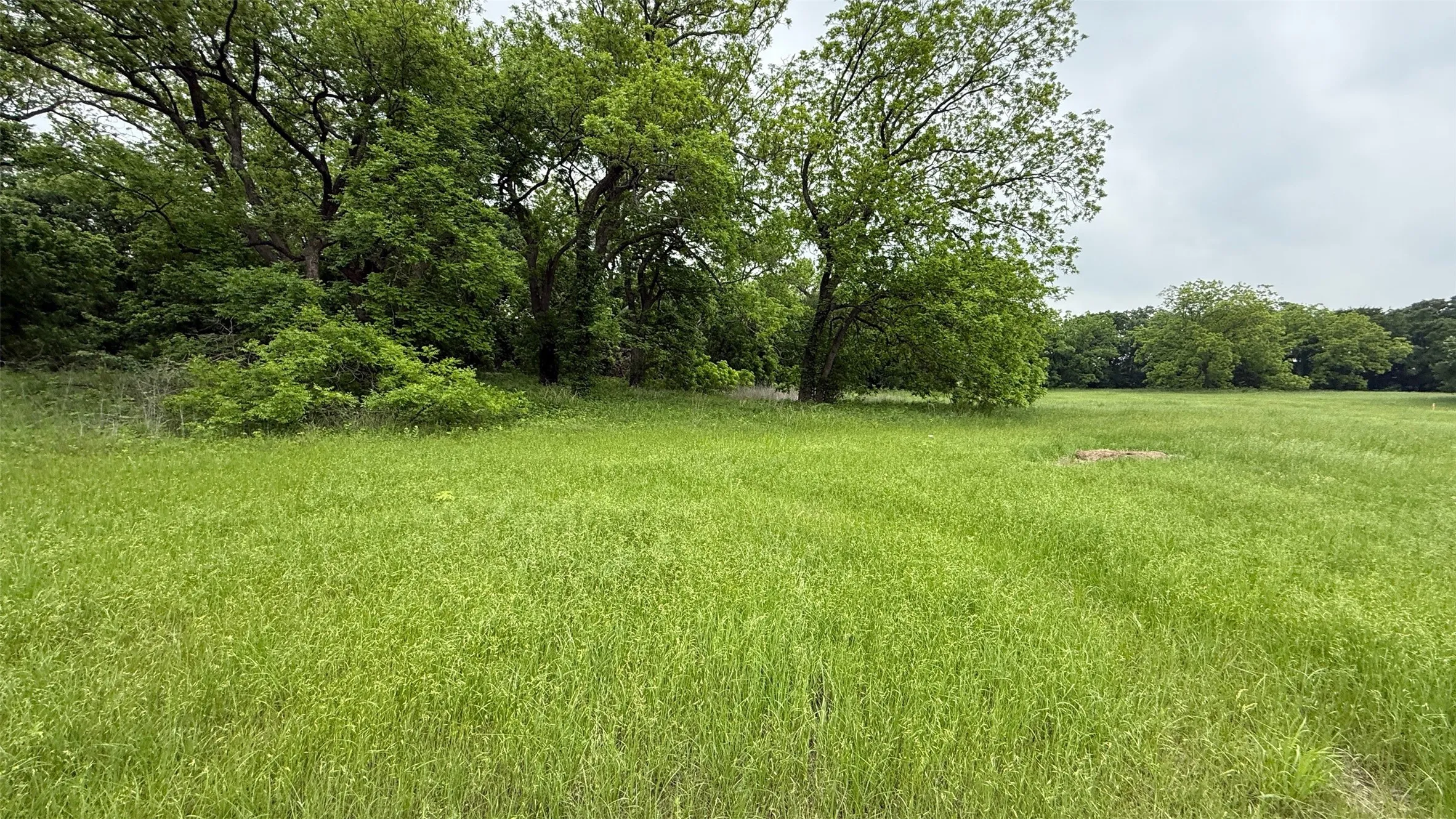 Unimproved Land For Sale in Hill County , 20 Acres Gathings Avenue, Covington, Texas 76636, 0, 0, Garage spaces, 0 Sqft, built in 0, mls#21103993, Real Estate Agent in Covington, Homes For Sale in Hill county, Homes For Sale in Covington, Realtor in Covington Texas, Real Estate Brokerage Independent Realty Texas, Luminita Cordes Realtor