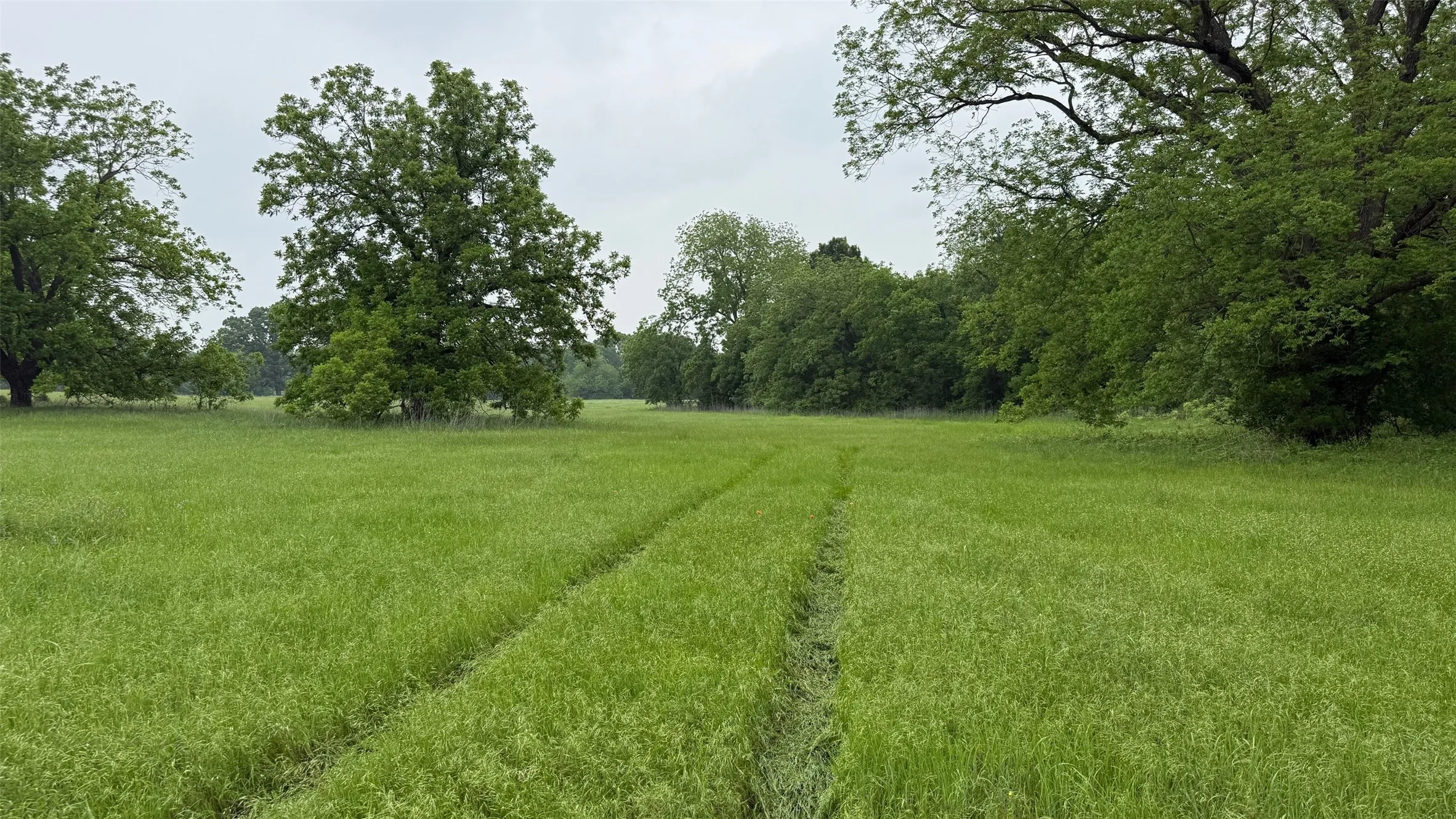Unimproved Land For Sale in Hill County , 20 Acres Gathings Avenue, Covington, Texas 76636, 0, 0, Garage spaces, 0 Sqft, built in 0, mls#21103993, Real Estate Agent in Covington, Homes For Sale in Hill county, Homes For Sale in Covington, Realtor in Covington Texas, Real Estate Brokerage Independent Realty Texas, Luminita Cordes Realtor