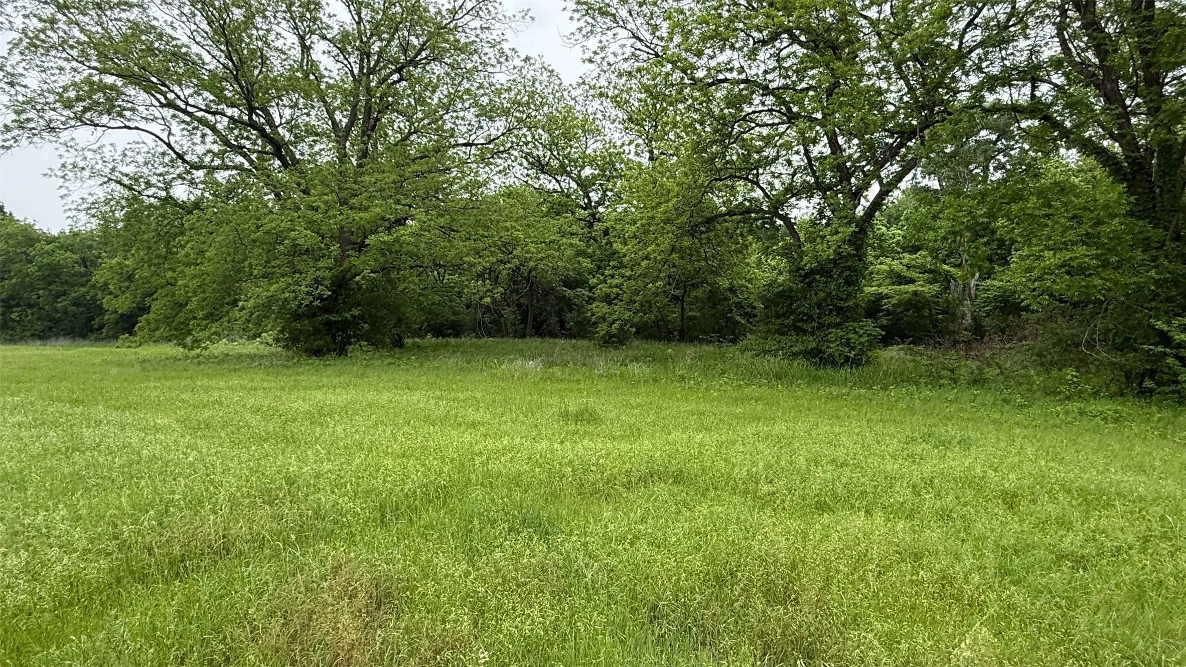 Unimproved Land For Sale in Hill County , 20 Acres Gathings Avenue, Covington, Texas 76636, 0, 0, Garage spaces, 0 Sqft, built in 0, mls#21103993, Real Estate Agent in Covington, Homes For Sale in Hill county, Homes For Sale in Covington, Realtor in Covington Texas, Real Estate Brokerage Independent Realty Texas, Luminita Cordes Realtor