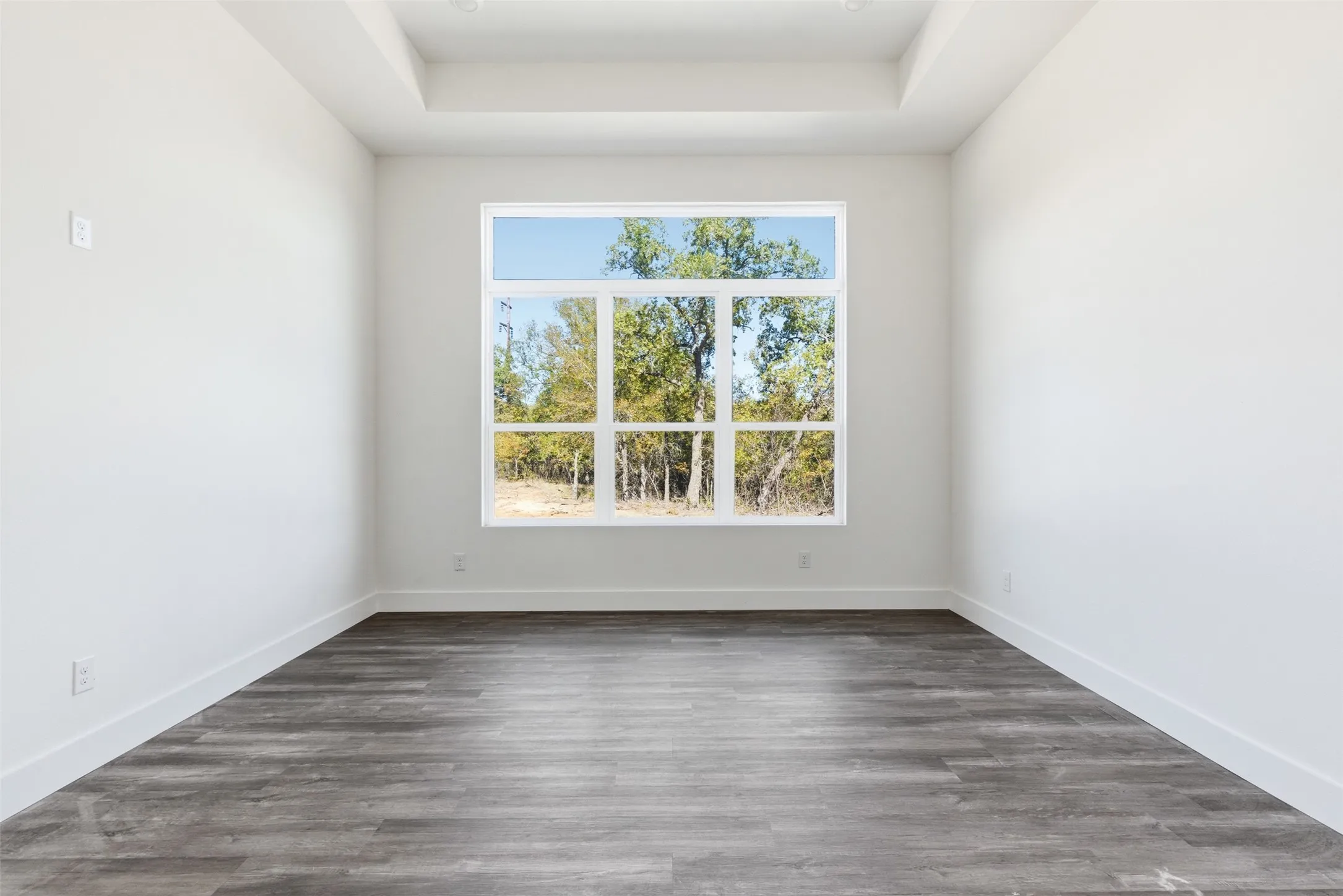 Spare room with dark wood finished floors and a tray ceiling