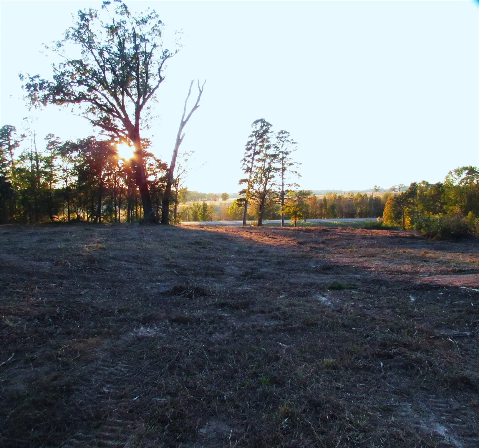 Ranch For Sale in Upshur County , 10222 US Highway 271 N, Gilmer, Texas 75644, 0, 0, Garage spaces, 0 Sqft, built in 0, mls#21105038, Real Estate Agent in Gilmer, Homes For Sale in Upshur county, Homes For Sale in Gilmer, Realtor in Gilmer Texas, Real Estate Brokerage Independent Realty Texas, Luminita Cordes Realtor