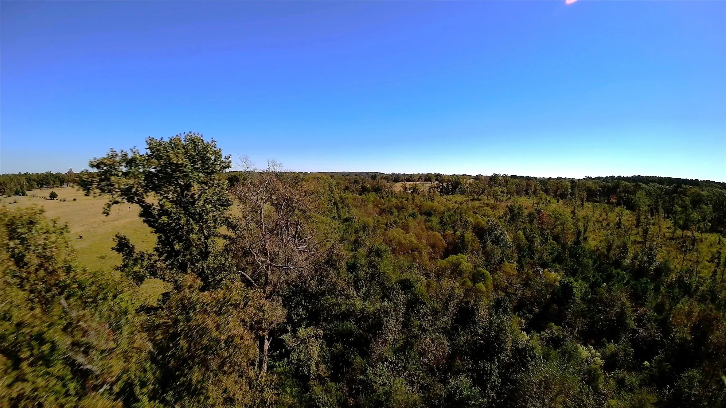 Loads of woods and wildlife; facing East