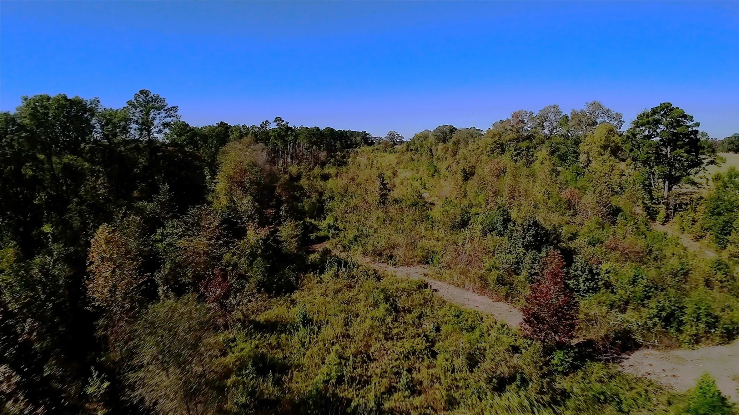 recent mulching-clearing of ~3500' trails and 5+acre of open space