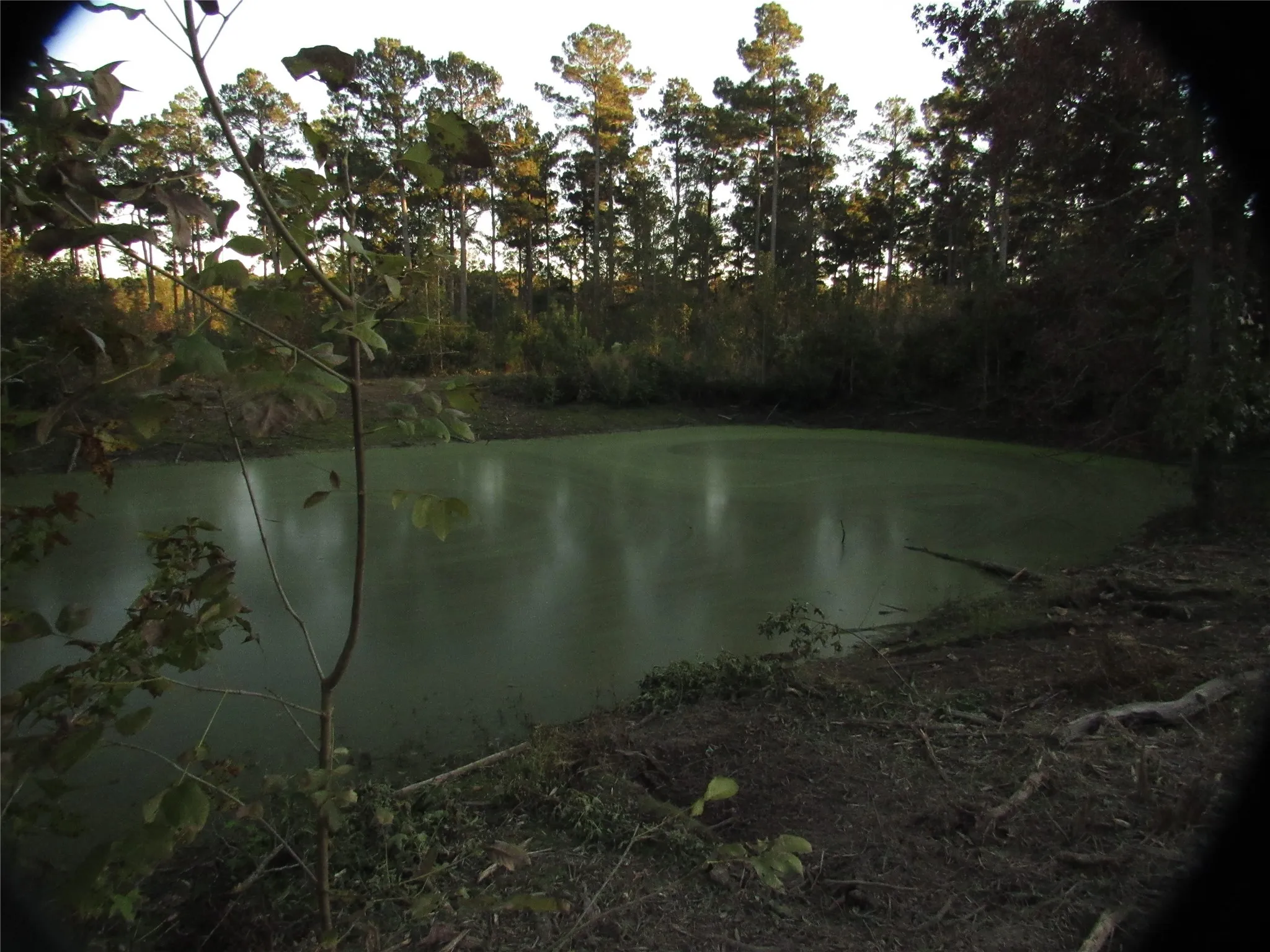 Small pond near the hilltop