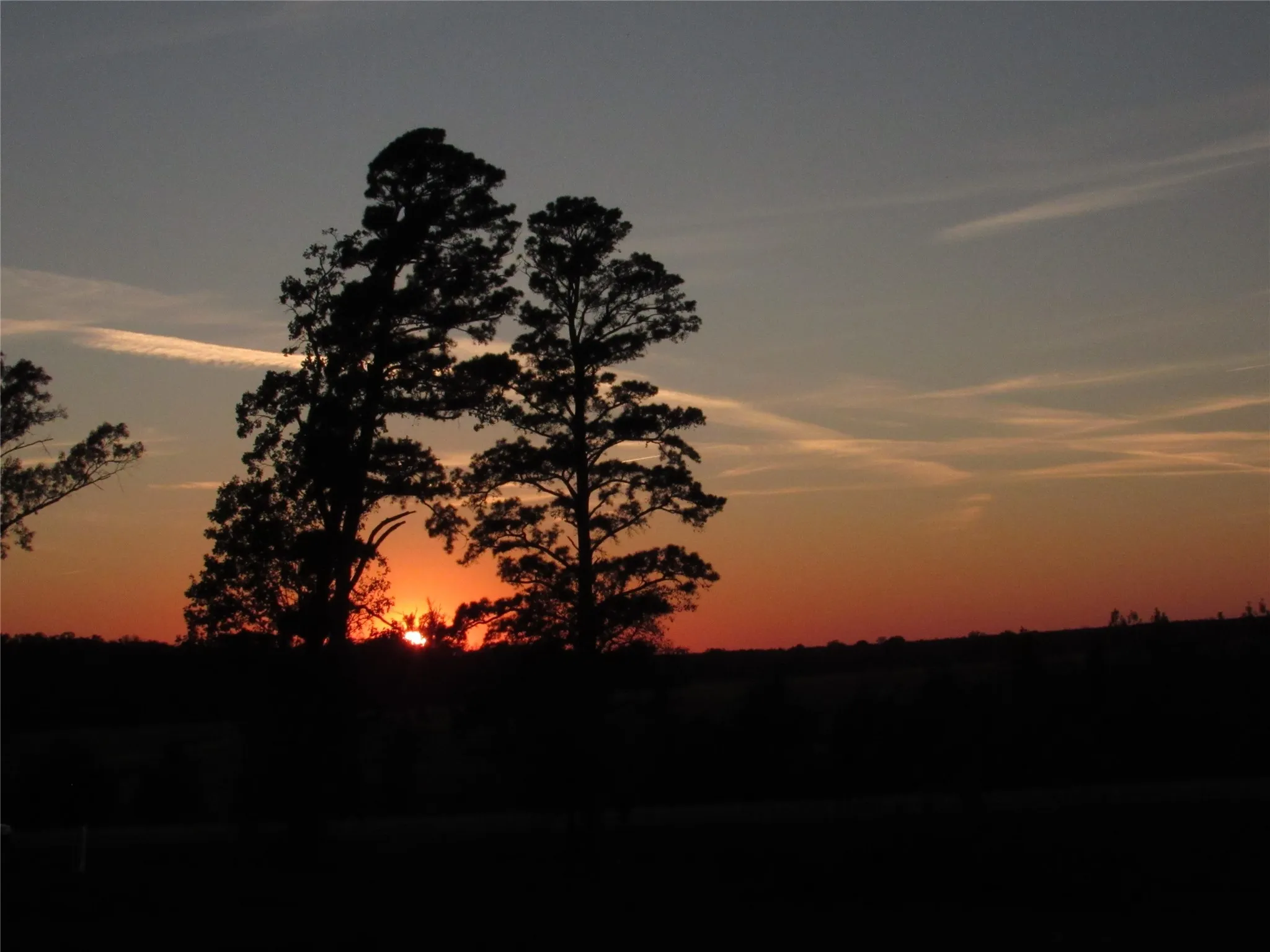 Ranch For Sale in Upshur County , 10222 US Highway 271 N, Gilmer, Texas 75644, 0, 0, Garage spaces, 0 Sqft, built in 0, mls#21105038, Real Estate Agent in Gilmer, Homes For Sale in Upshur county, Homes For Sale in Gilmer, Realtor in Gilmer Texas, Real Estate Brokerage Independent Realty Texas, Luminita Cordes Realtor