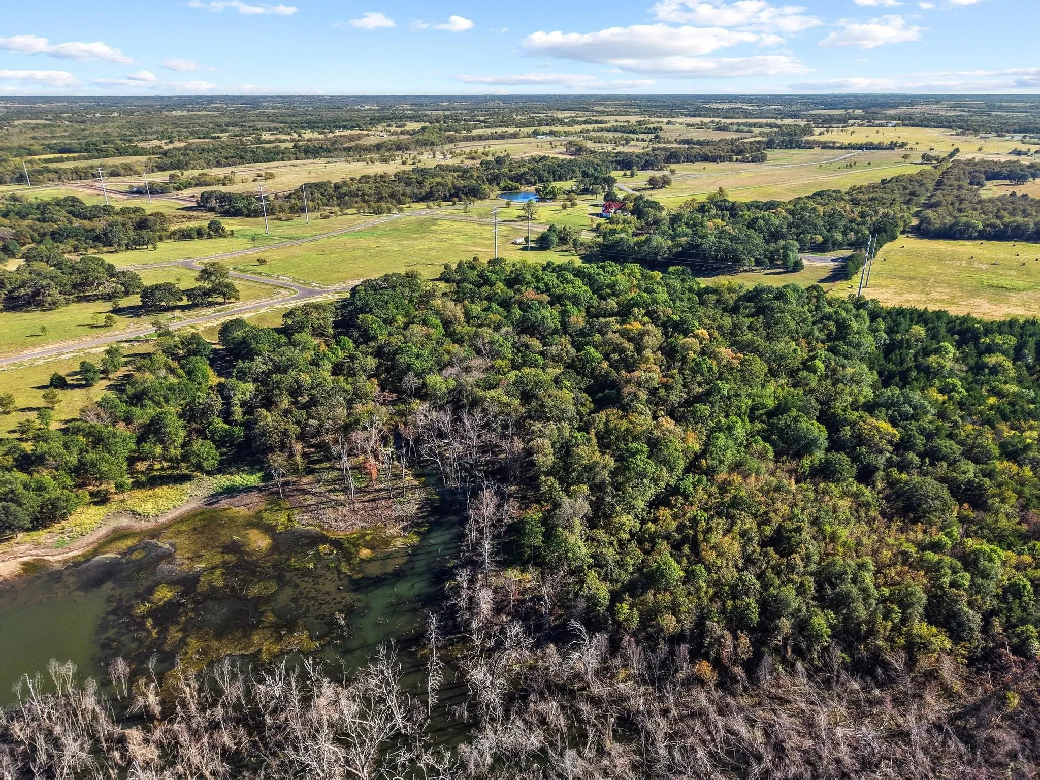 Improved Land For Sale in Fannin County , 445 Wildflower Way, Dodd City, Texas 75438, 0, 0, Garage spaces, 0 Sqft, built in 0, mls#21104711, Real Estate Agent in Dodd City, Homes For Sale in Fannin county, Homes For Sale in Dodd City, Realtor in Dodd City Texas, Real Estate Brokerage Independent Realty Texas, Luminita Cordes Realtor