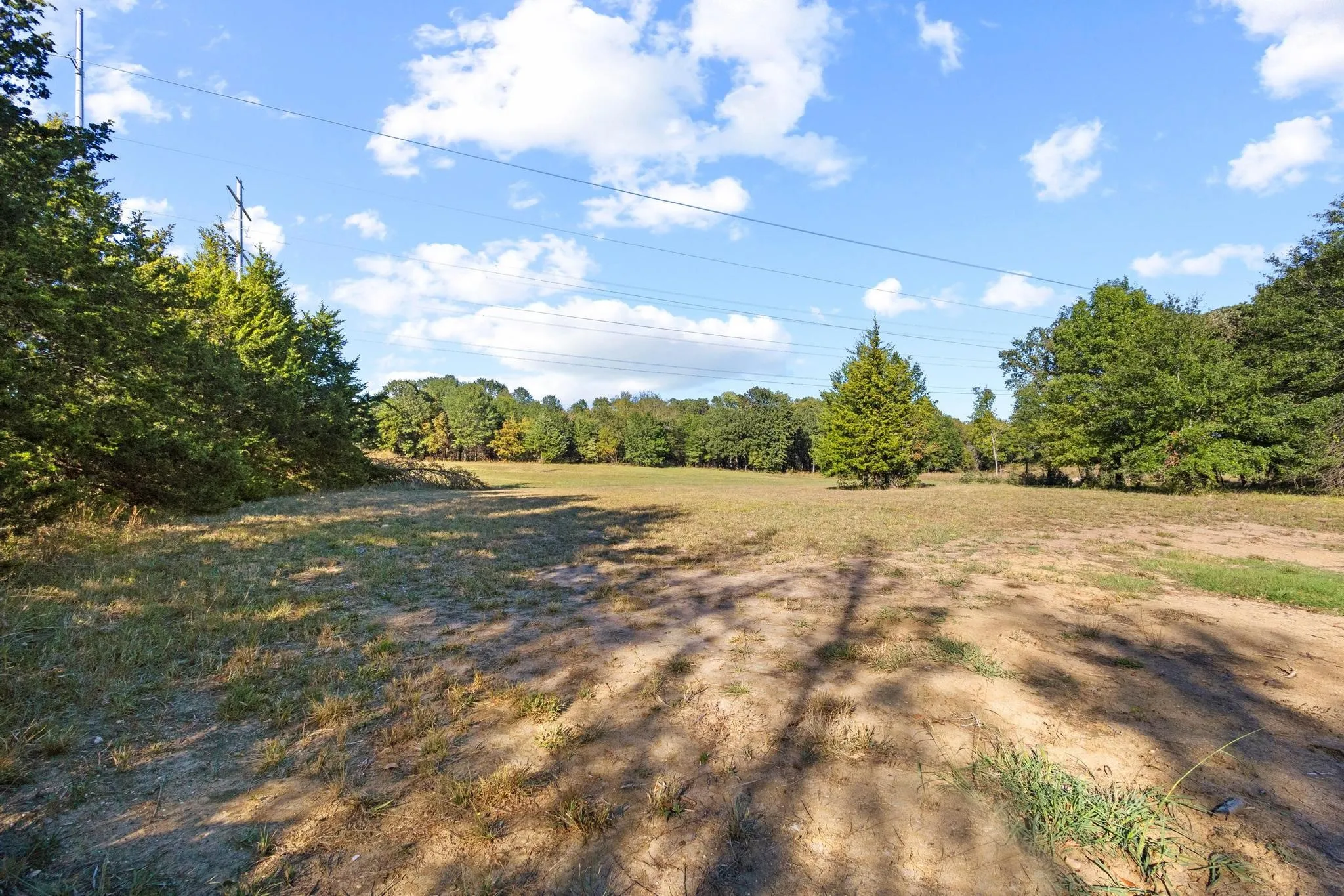 Improved Land For Sale in Fannin County , 445 Wildflower Way, Dodd City, Texas 75438, 0, 0, Garage spaces, 0 Sqft, built in 0, mls#21104711, Real Estate Agent in Dodd City, Homes For Sale in Fannin county, Homes For Sale in Dodd City, Realtor in Dodd City Texas, Real Estate Brokerage Independent Realty Texas, Luminita Cordes Realtor