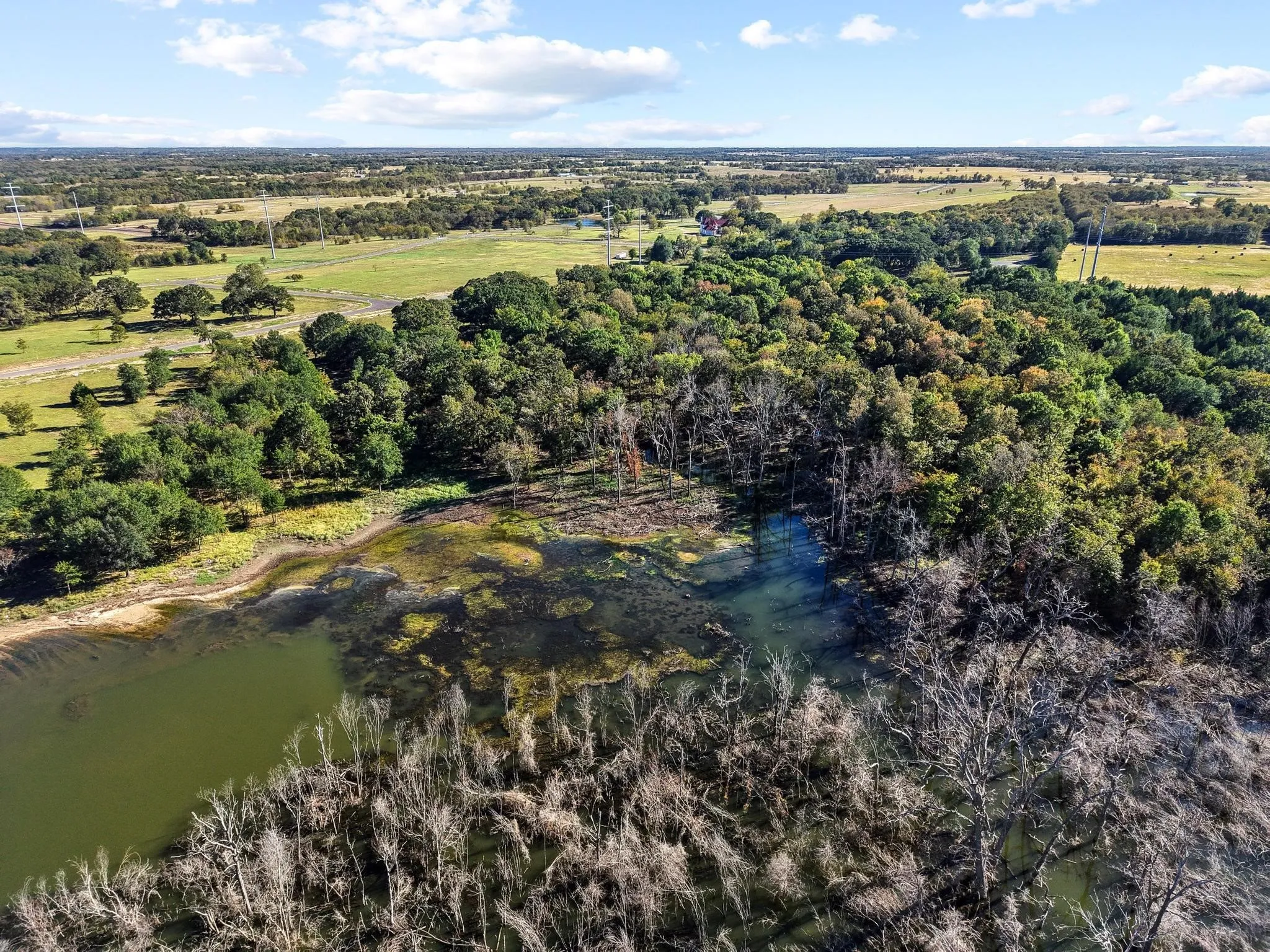 Improved Land For Sale in Fannin County , 445 Wildflower Way, Dodd City, Texas 75438, 0, 0, Garage spaces, 0 Sqft, built in 0, mls#21104711, Real Estate Agent in Dodd City, Homes For Sale in Fannin county, Homes For Sale in Dodd City, Realtor in Dodd City Texas, Real Estate Brokerage Independent Realty Texas, Luminita Cordes Realtor