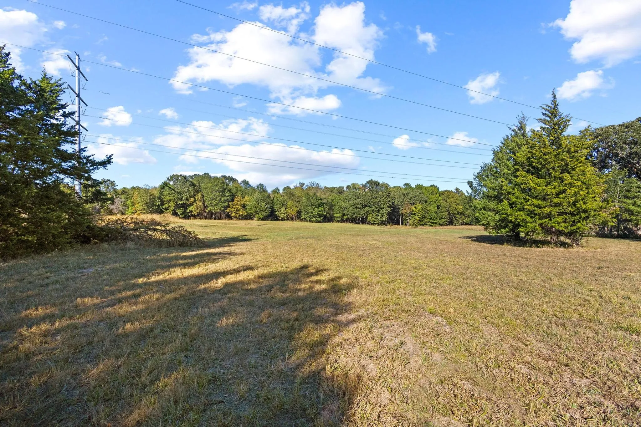 Improved Land For Sale in Fannin County , 445 Wildflower Way, Dodd City, Texas 75438, 0, 0, Garage spaces, 0 Sqft, built in 0, mls#21104711, Real Estate Agent in Dodd City, Homes For Sale in Fannin county, Homes For Sale in Dodd City, Realtor in Dodd City Texas, Real Estate Brokerage Independent Realty Texas, Luminita Cordes Realtor