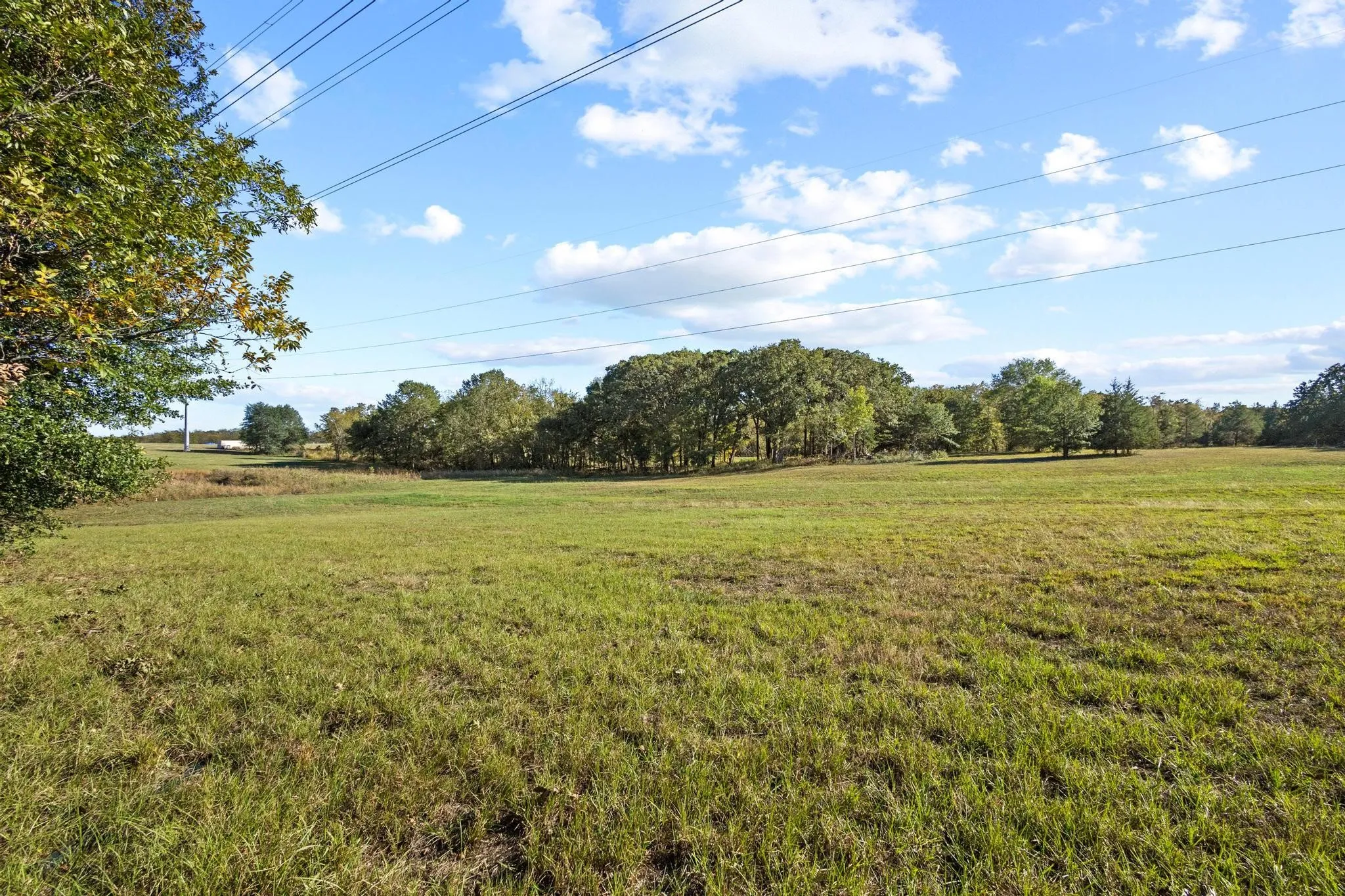 Improved Land For Sale in Fannin County , 425 Wildflower Way, Dodd City, Texas 75438, 0, 0, Garage spaces, 0 Sqft, built in 0, mls#21104696, Real Estate Agent in Dodd City, Homes For Sale in Fannin county, Homes For Sale in Dodd City, Realtor in Dodd City Texas, Real Estate Brokerage Independent Realty Texas, Luminita Cordes Realtor