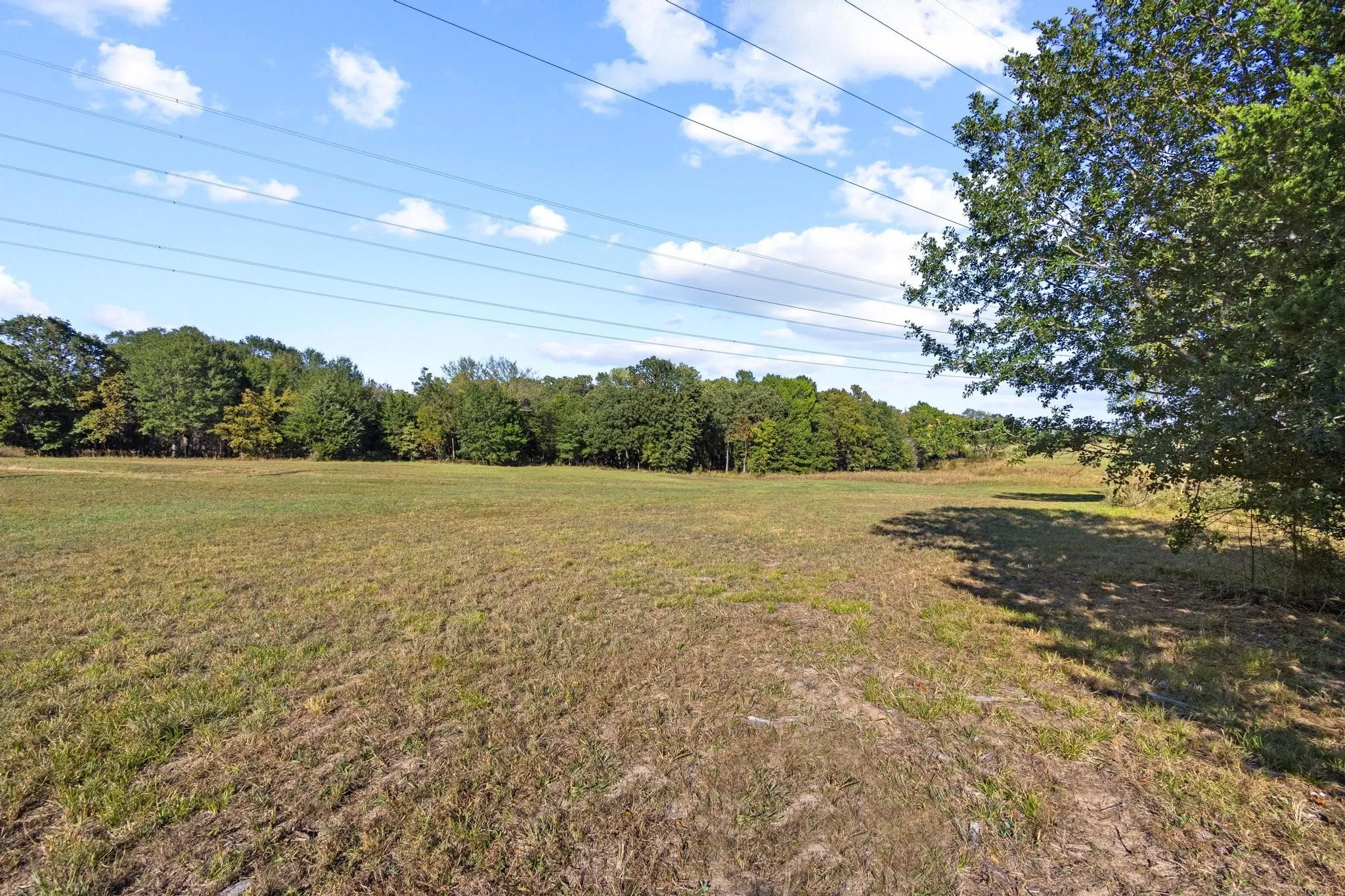Improved Land For Sale in Fannin County , 425 Wildflower Way, Dodd City, Texas 75438, 0, 0, Garage spaces, 0 Sqft, built in 0, mls#21104696, Real Estate Agent in Dodd City, Homes For Sale in Fannin county, Homes For Sale in Dodd City, Realtor in Dodd City Texas, Real Estate Brokerage Independent Realty Texas, Luminita Cordes Realtor