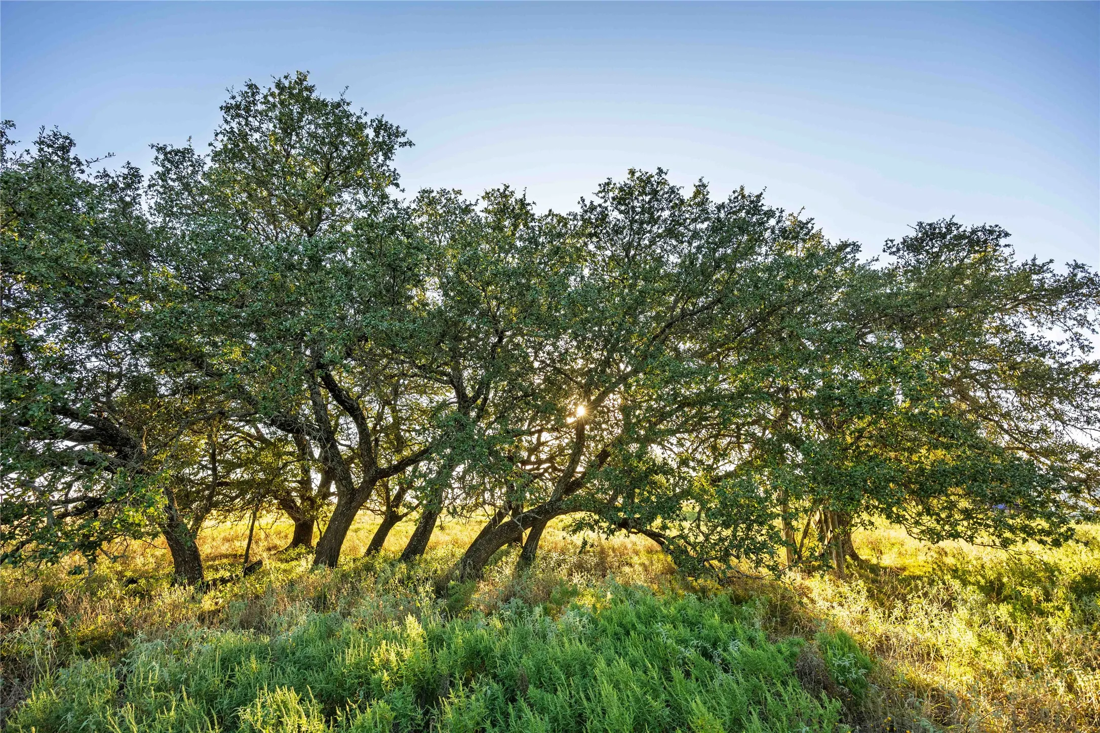 Ranch For Sale in Comanche County , 3270 Fm-573, Comanche, Texas 76442, 0, 0, Garage spaces, 0 Sqft, built in 2007, mls#21105186, Real Estate Agent in Comanche, Homes For Sale in Comanche county, Homes For Sale in Comanche, Realtor in Comanche Texas, Real Estate Brokerage Independent Realty Texas, Luminita Cordes Realtor