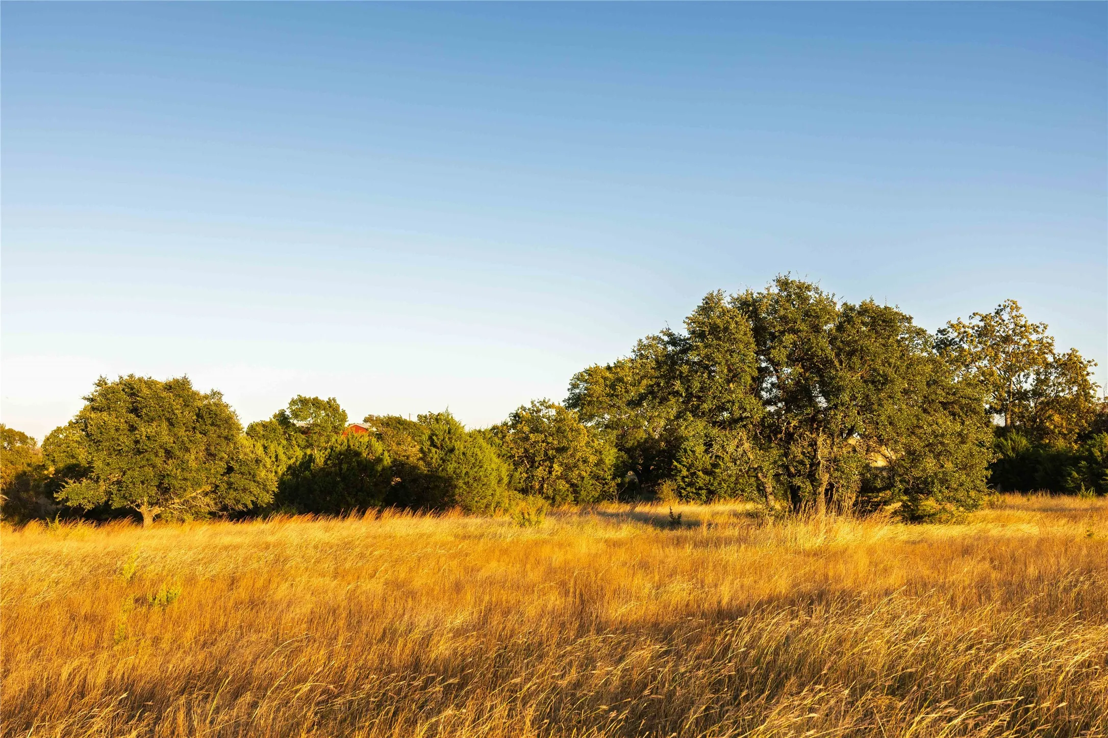 Ranch For Sale in Comanche County , 3270 Fm-573, Comanche, Texas 76442, 0, 0, Garage spaces, 0 Sqft, built in 2007, mls#21105186, Real Estate Agent in Comanche, Homes For Sale in Comanche county, Homes For Sale in Comanche, Realtor in Comanche Texas, Real Estate Brokerage Independent Realty Texas, Luminita Cordes Realtor