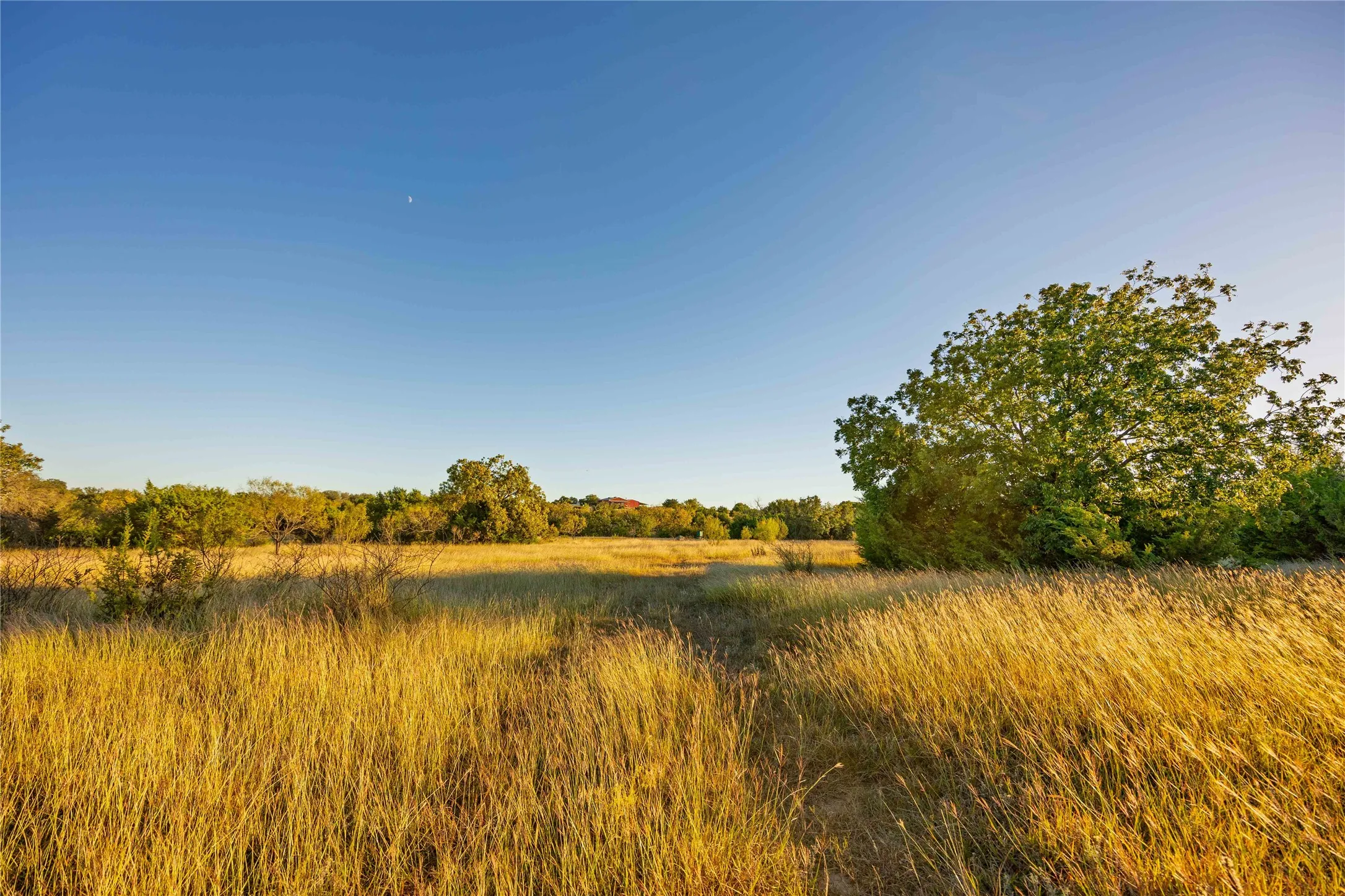 Ranch For Sale in Comanche County , 3270 Fm-573, Comanche, Texas 76442, 0, 0, Garage spaces, 0 Sqft, built in 2007, mls#21105186, Real Estate Agent in Comanche, Homes For Sale in Comanche county, Homes For Sale in Comanche, Realtor in Comanche Texas, Real Estate Brokerage Independent Realty Texas, Luminita Cordes Realtor